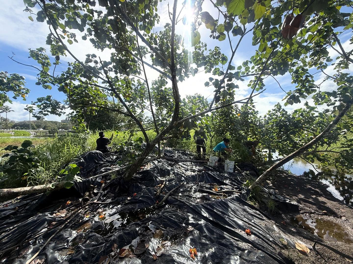 573108862_18026334110773190_7053041974332390493_n