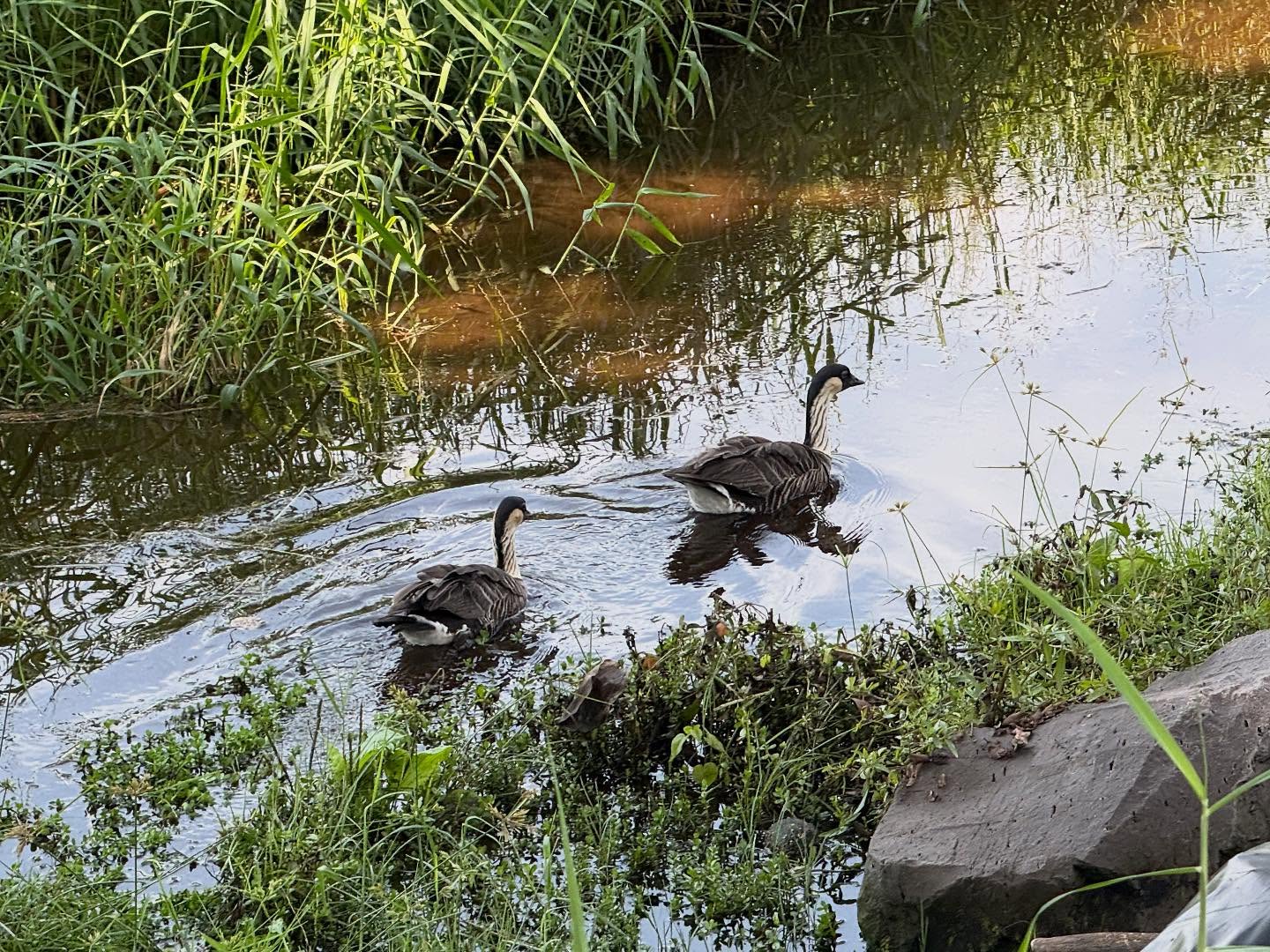 581224869_18027191900773190_1822262080552578460_n