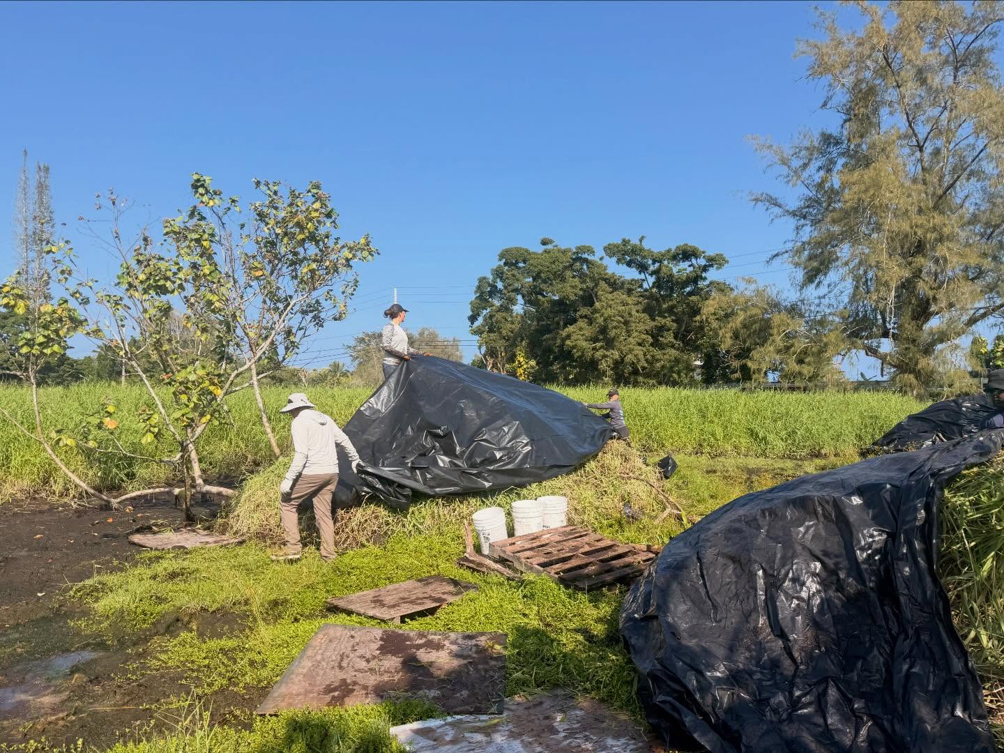 590415287_18030908078773190_5422117314124688221_n