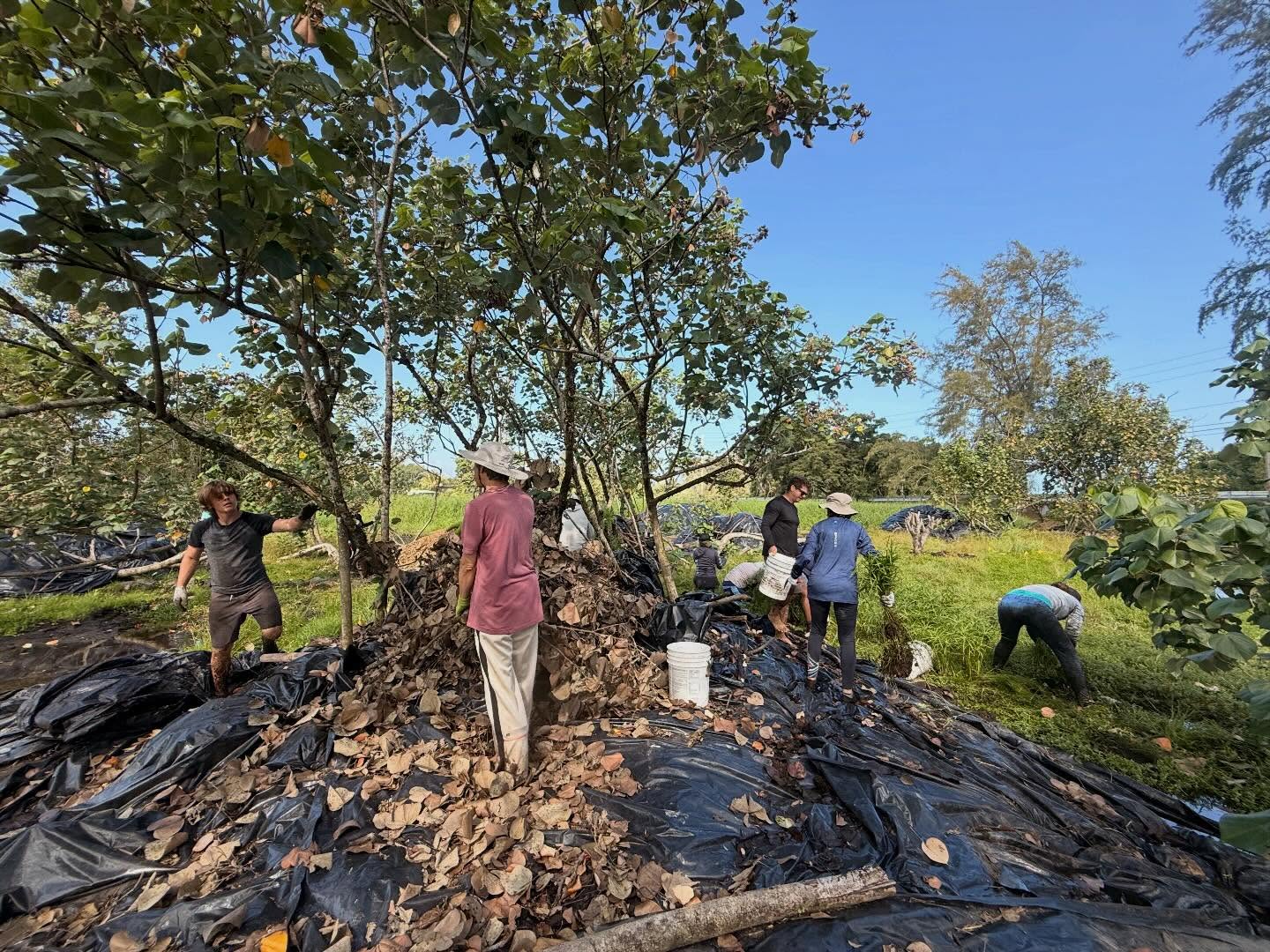 590421767_18030908108773190_254537996555004325_n