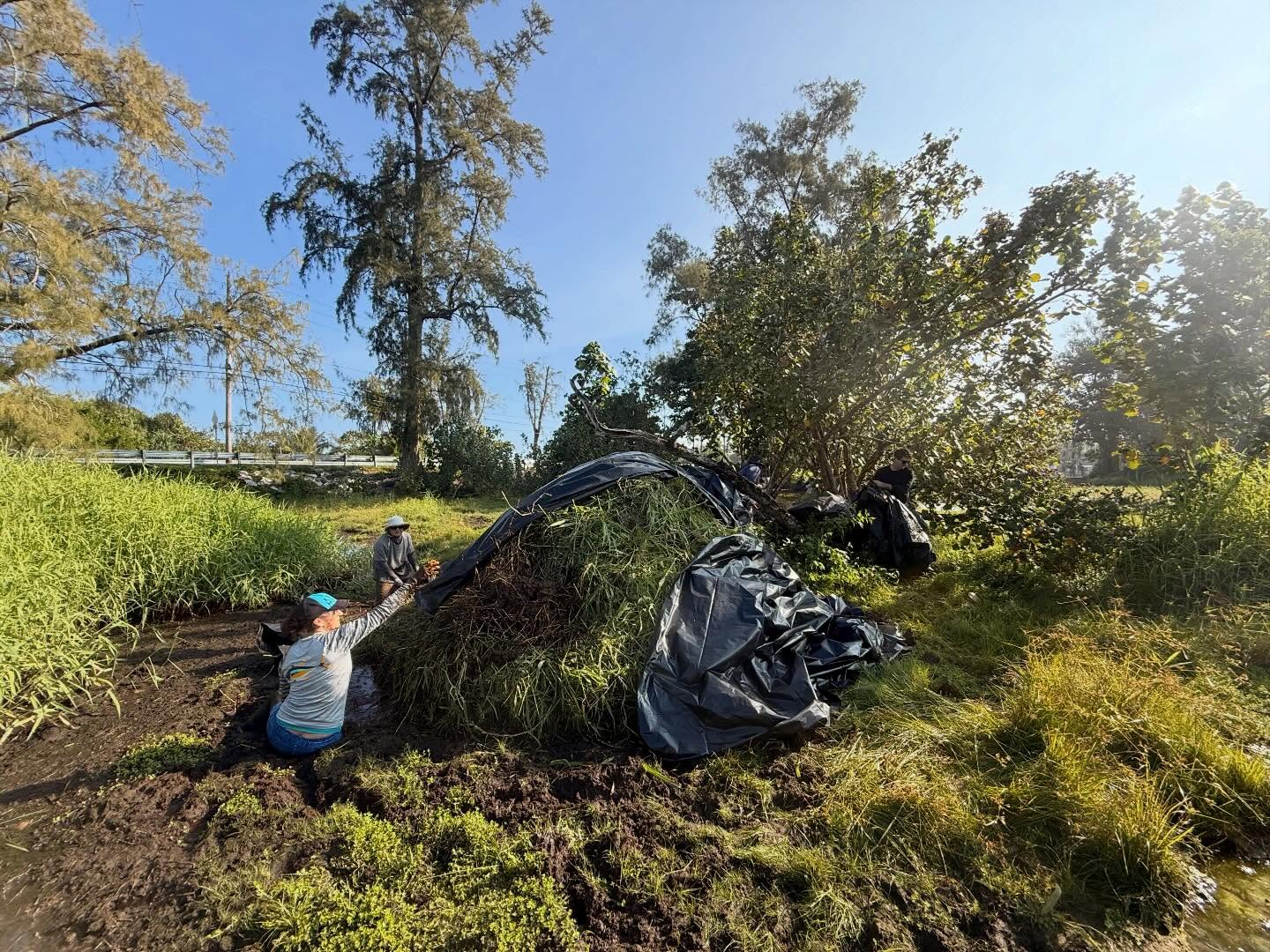 590431299_18030908042773190_4594606414347849463_n