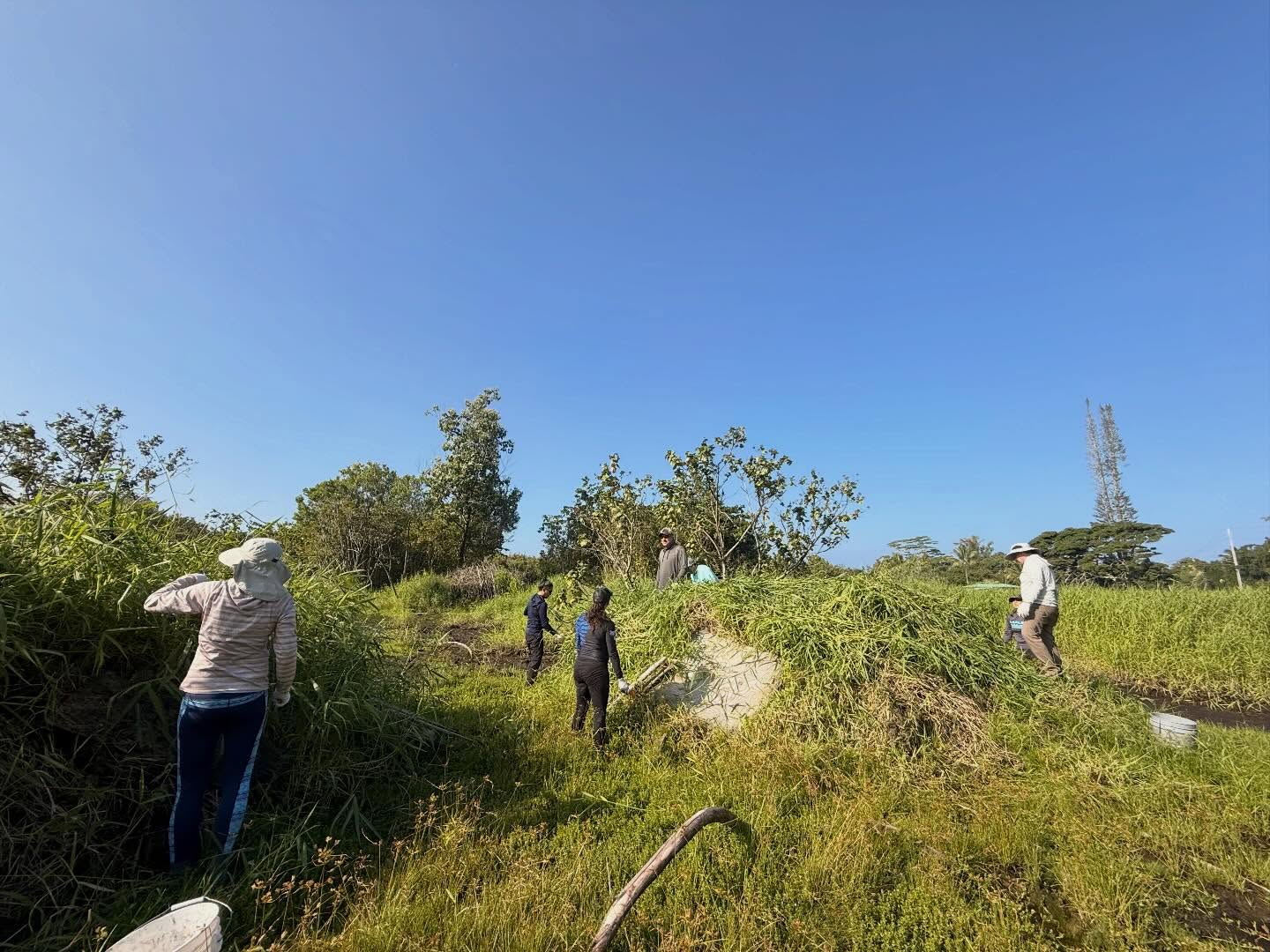 590432651_18030908051773190_458225554948324960_n