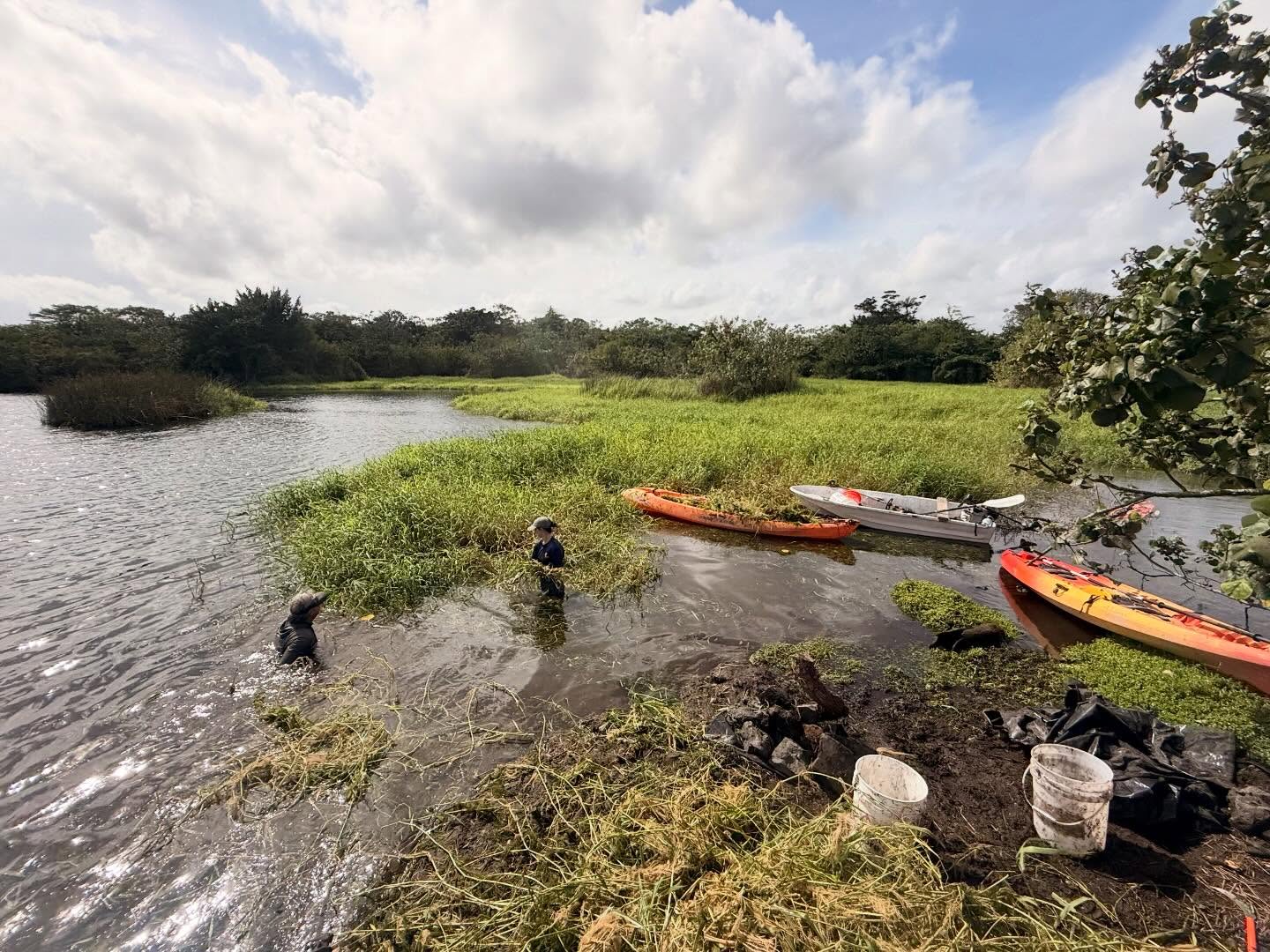 601765083_18031274165773190_5521793676550722498_n