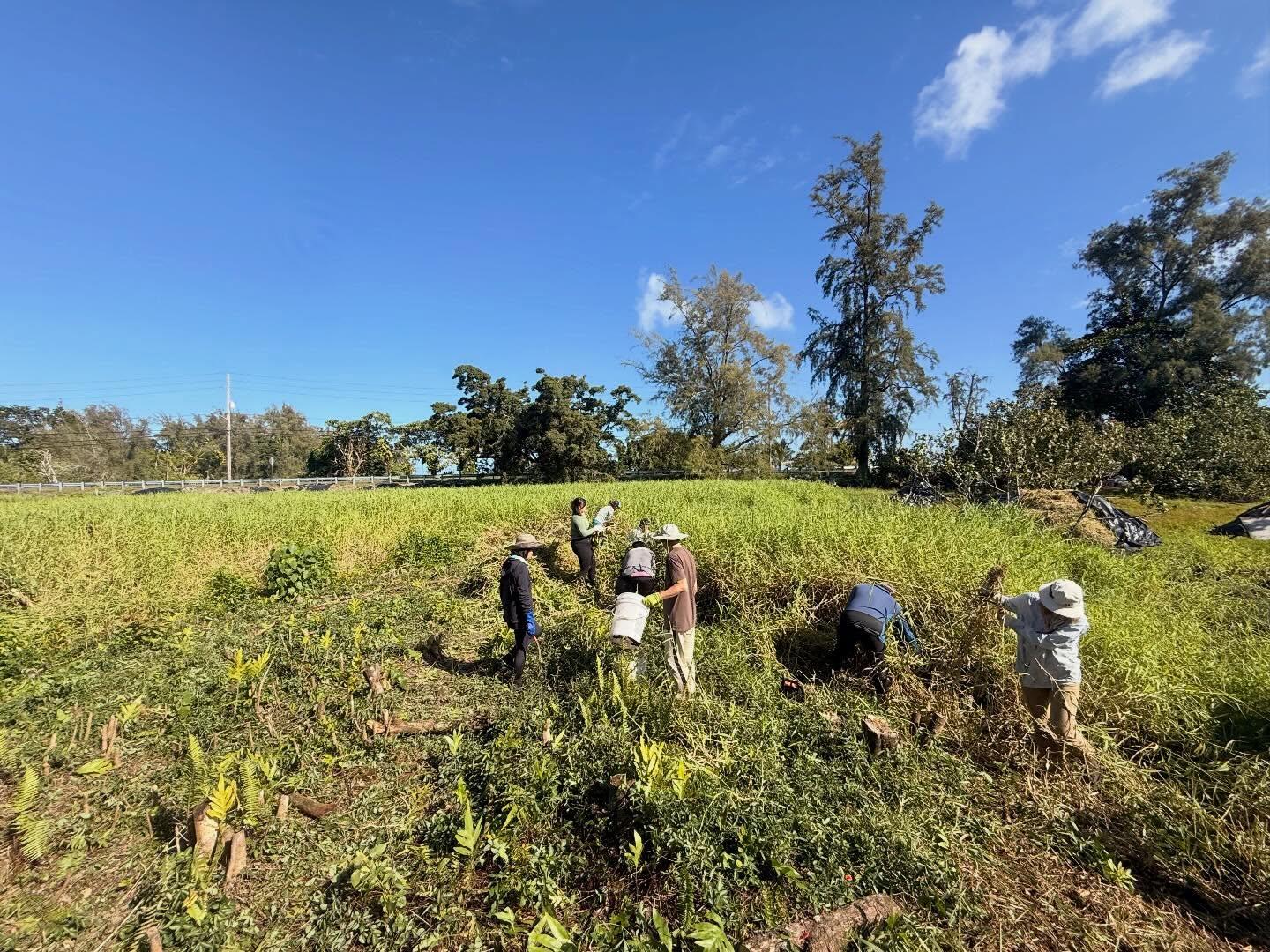 603917182_18031717331773190_8451599190933491794_n