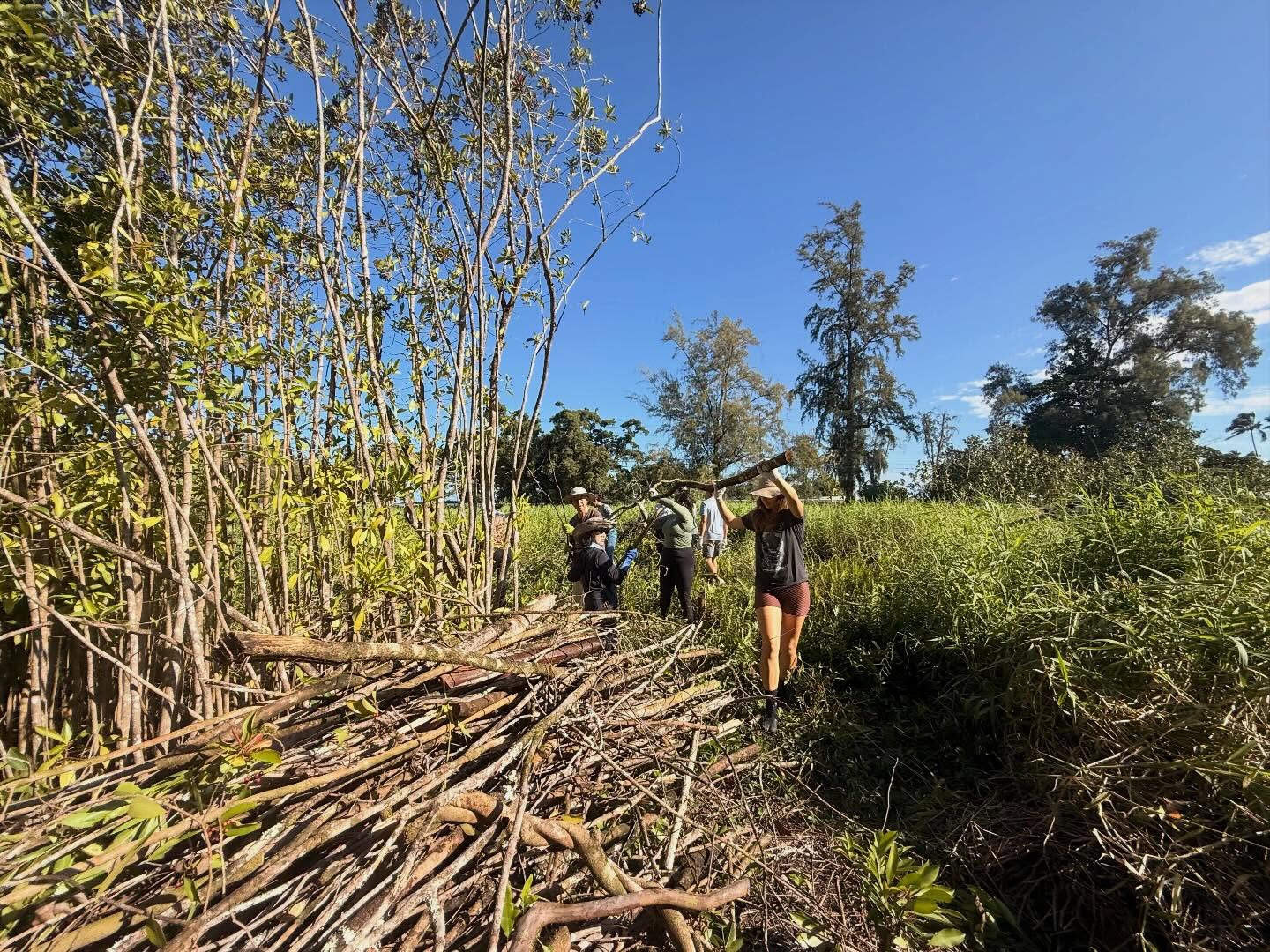 603929863_18031717235773190_1461450515685625217_n