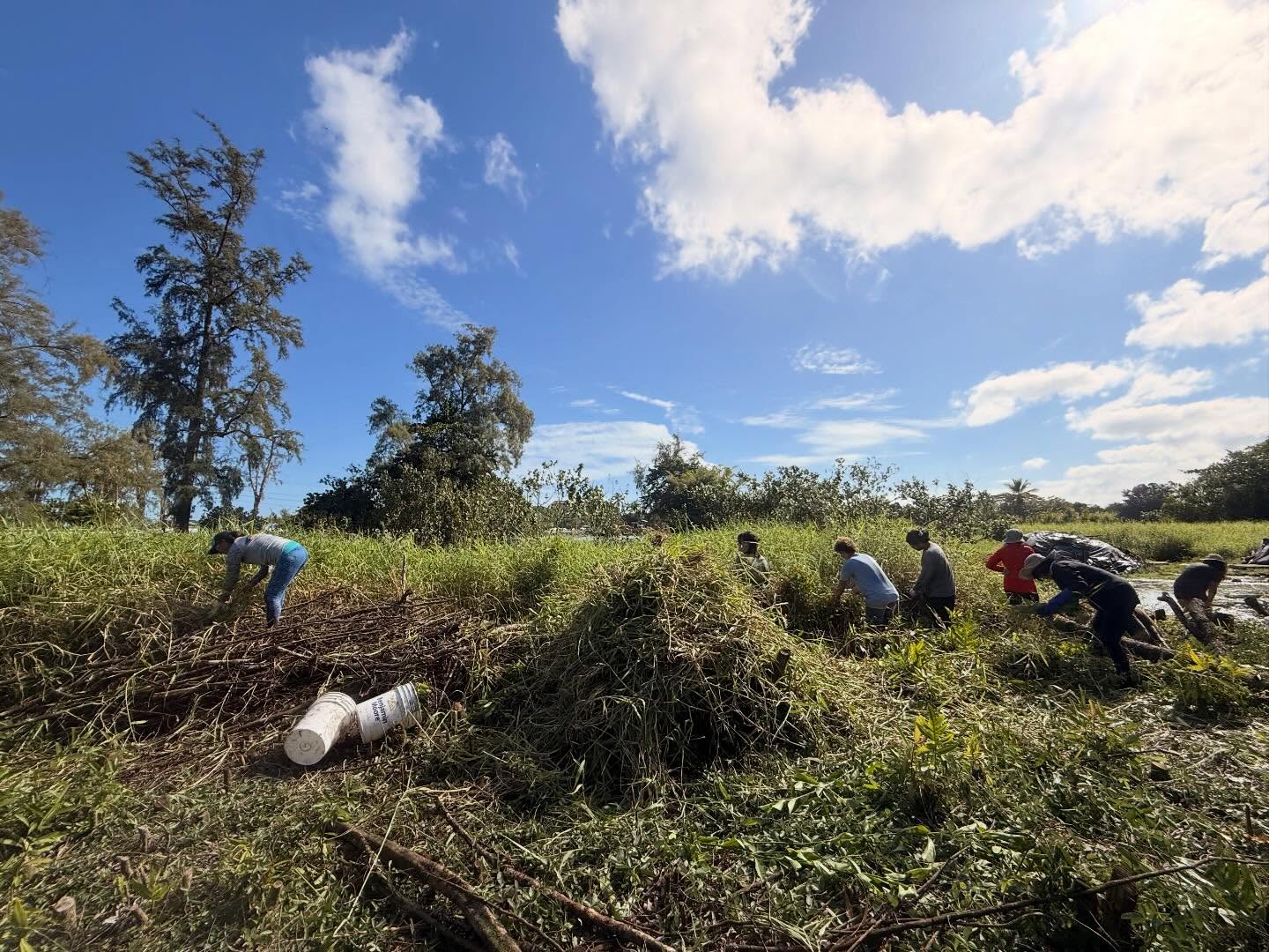 603934326_18031717373773190_2484770300411127482_n