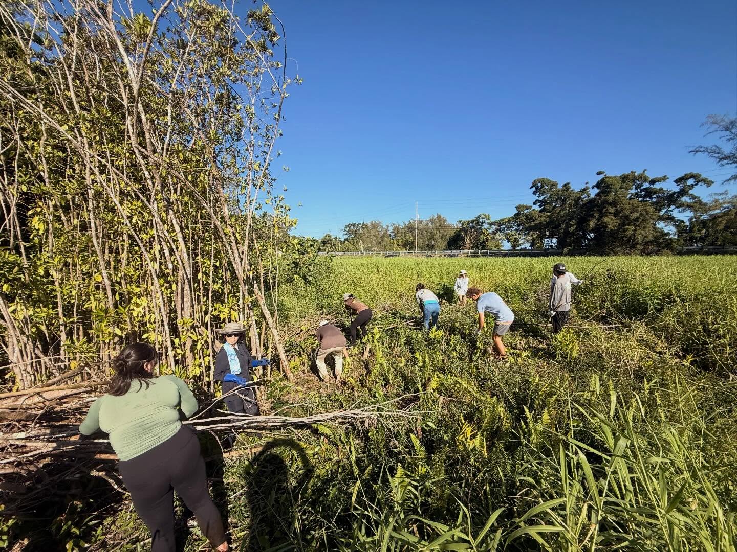 603964481_18031717256773190_8067501461372097092_n