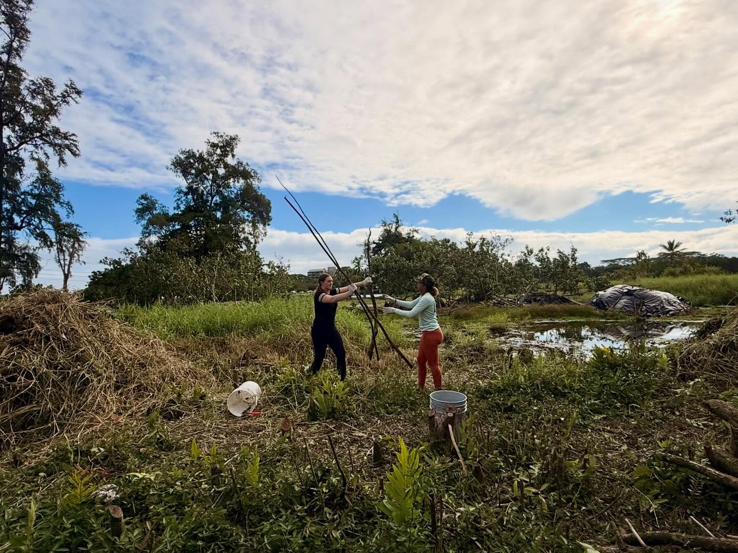 603972776_18031830911773190_7377281746405106913_n