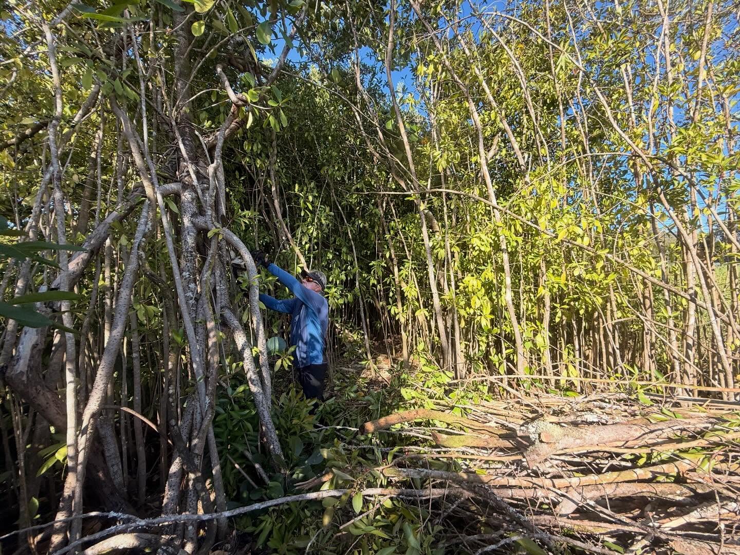 603992888_18031717223773190_4490717977723355930_n