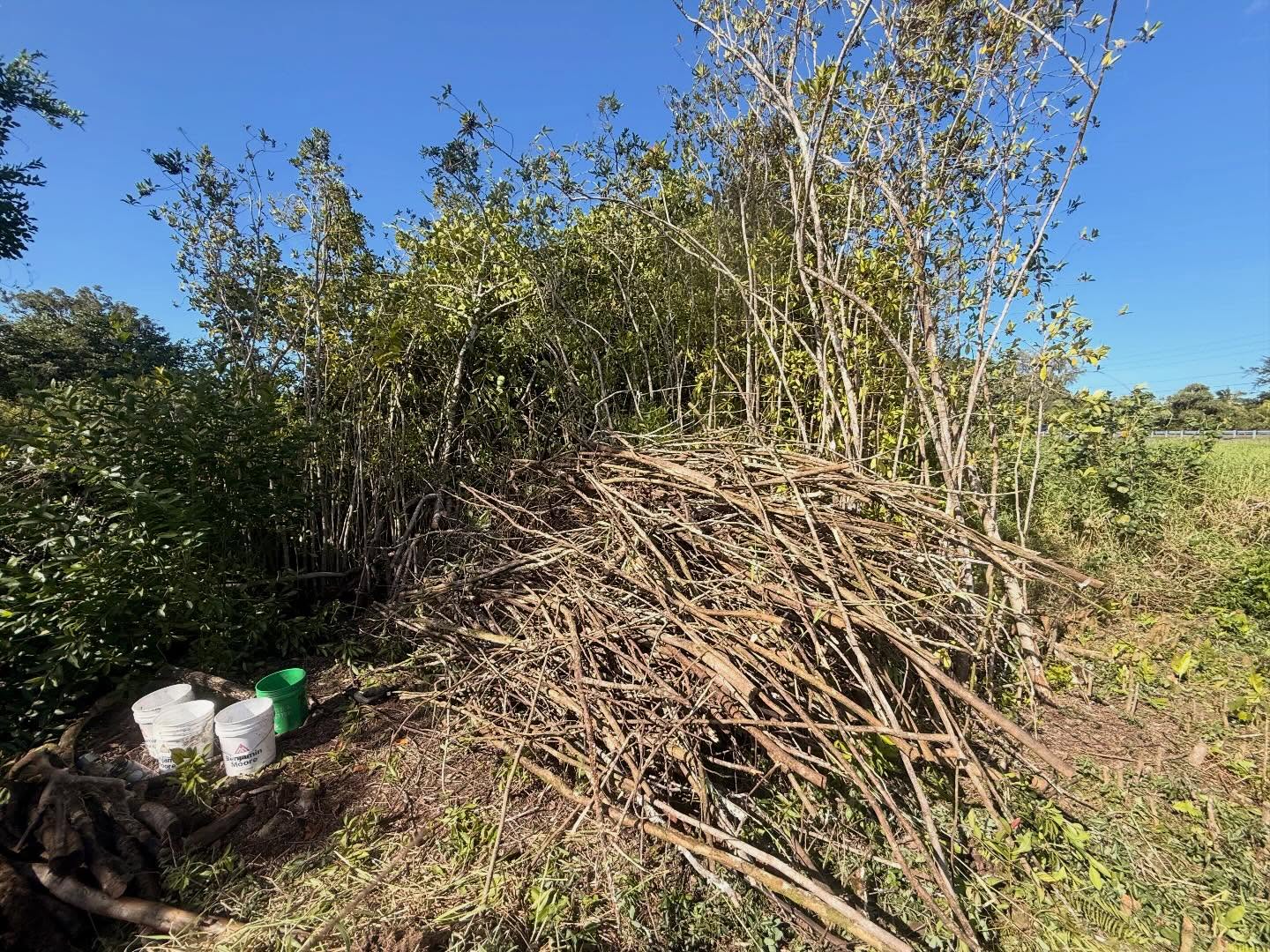 604026136_18031717319773190_2729569936134553149_n