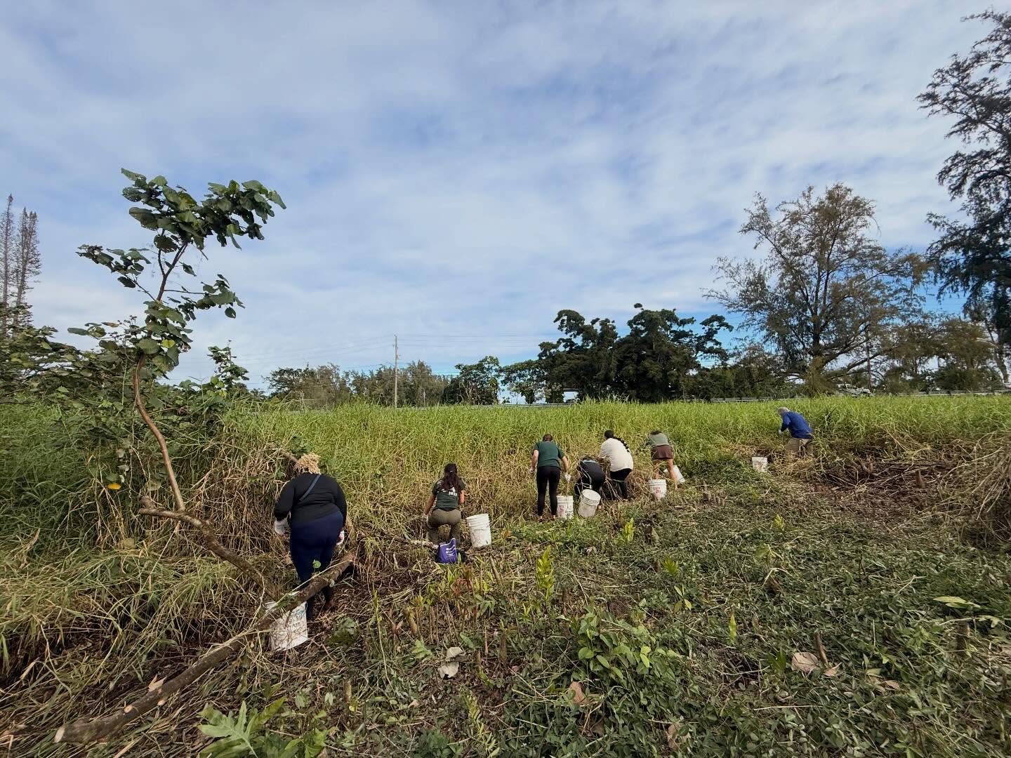 605360719_18031830902773190_7971479304697345946_n