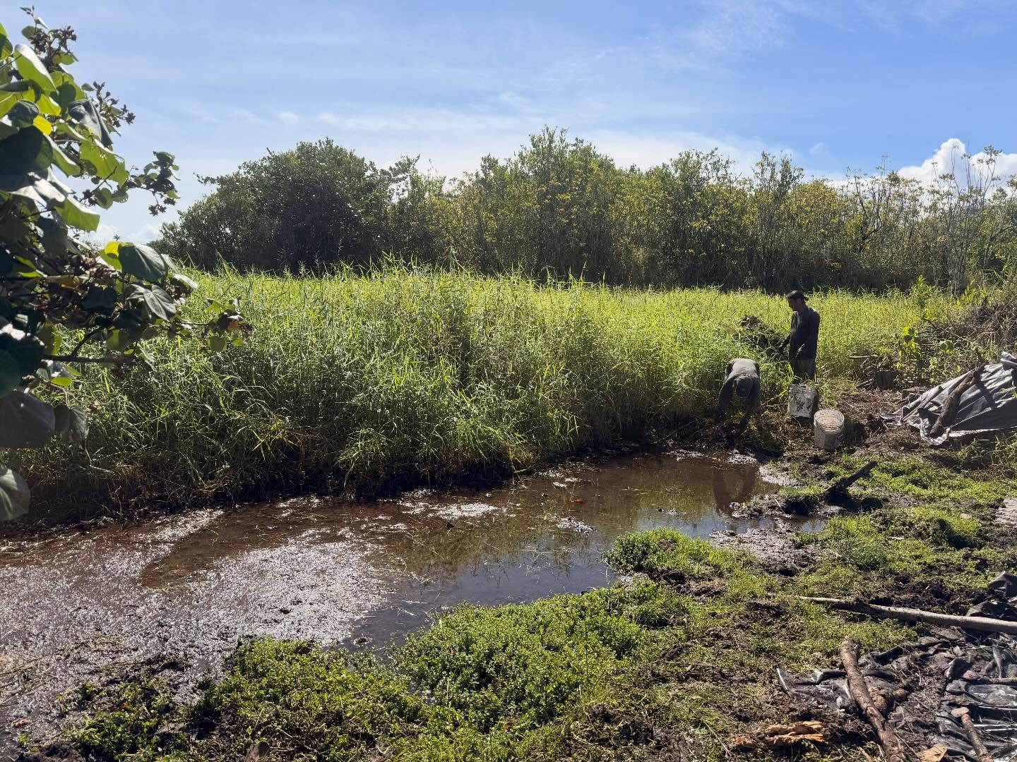 606466112_18032544818773190_1712005156339299140_n