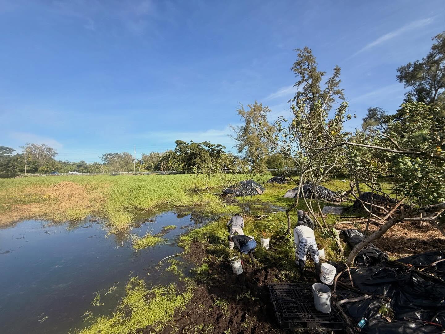 607176193_18032544770773190_8909666697591295180_n