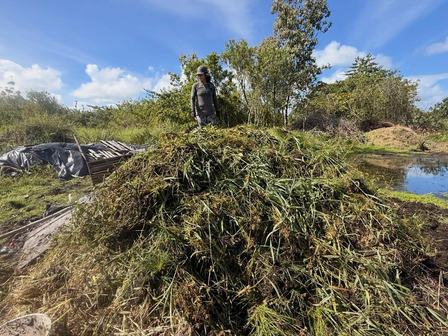 608424304_18032544803773190_9201035393965440362_n