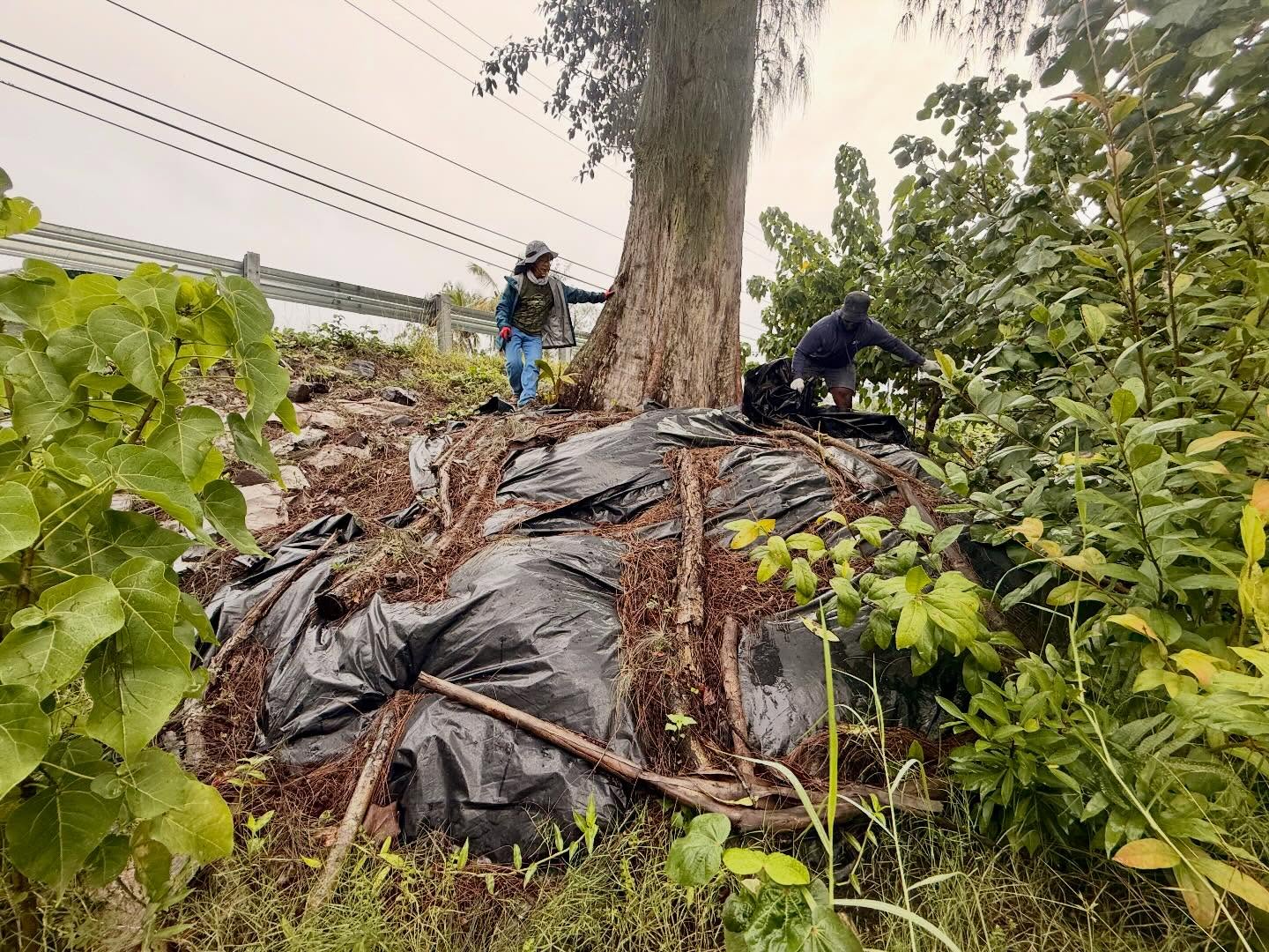 610960013_18033401495773190_3245772562927516332_n