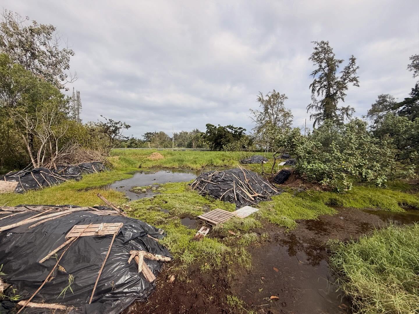 618958882_18034897727773190_5262262696717235623_n