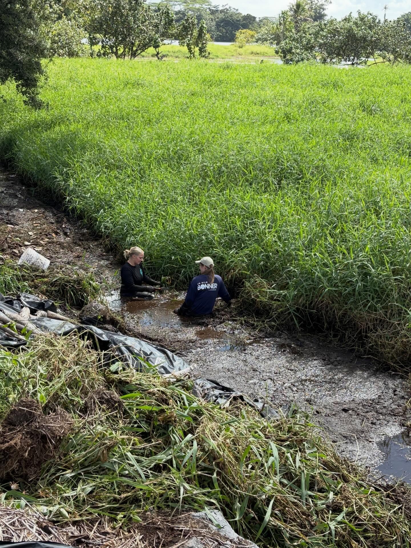 619919952_18035672459773190_6132336398929156537_n