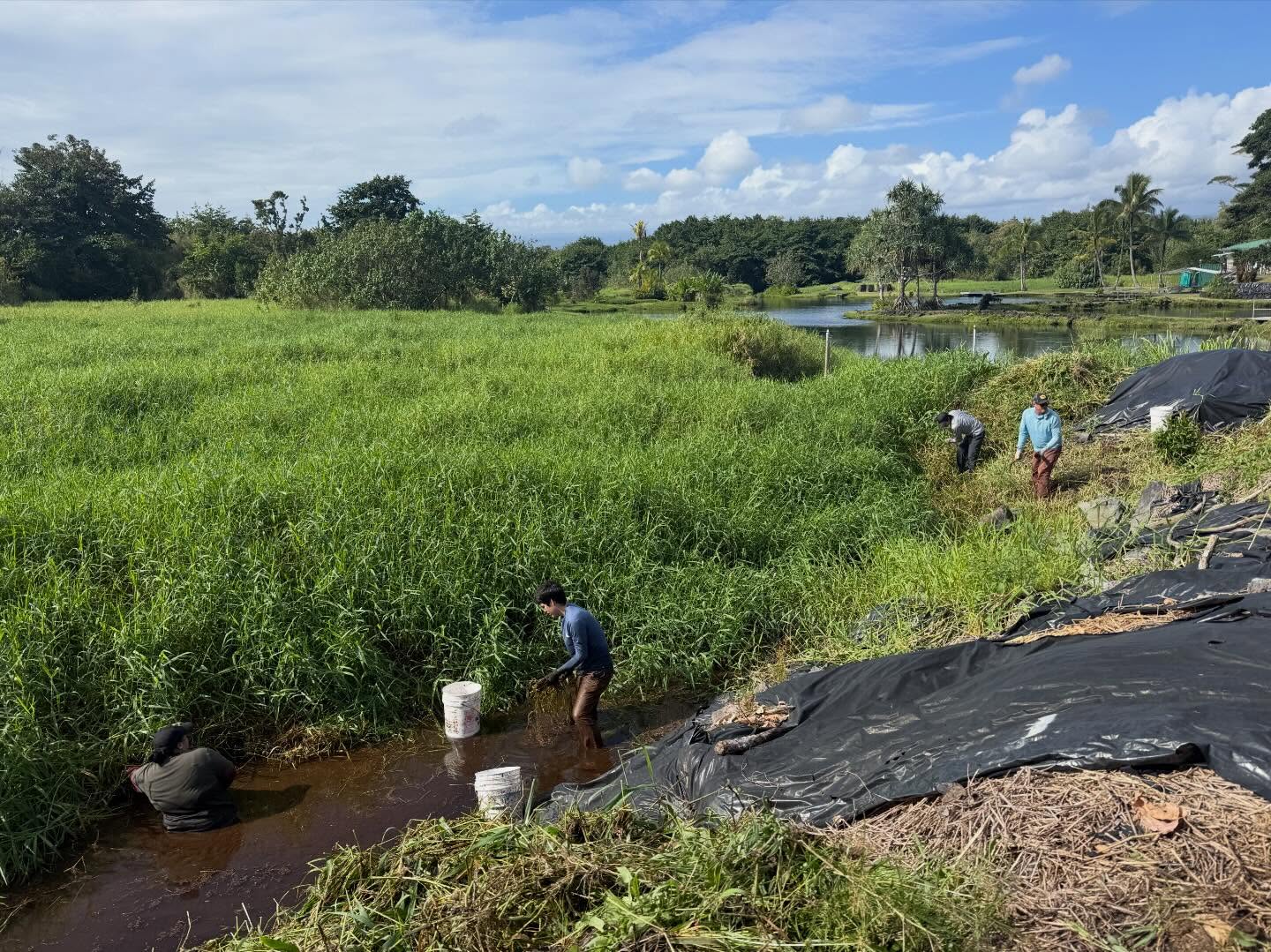 620853133_18035670302773190_8271141806019916185_n