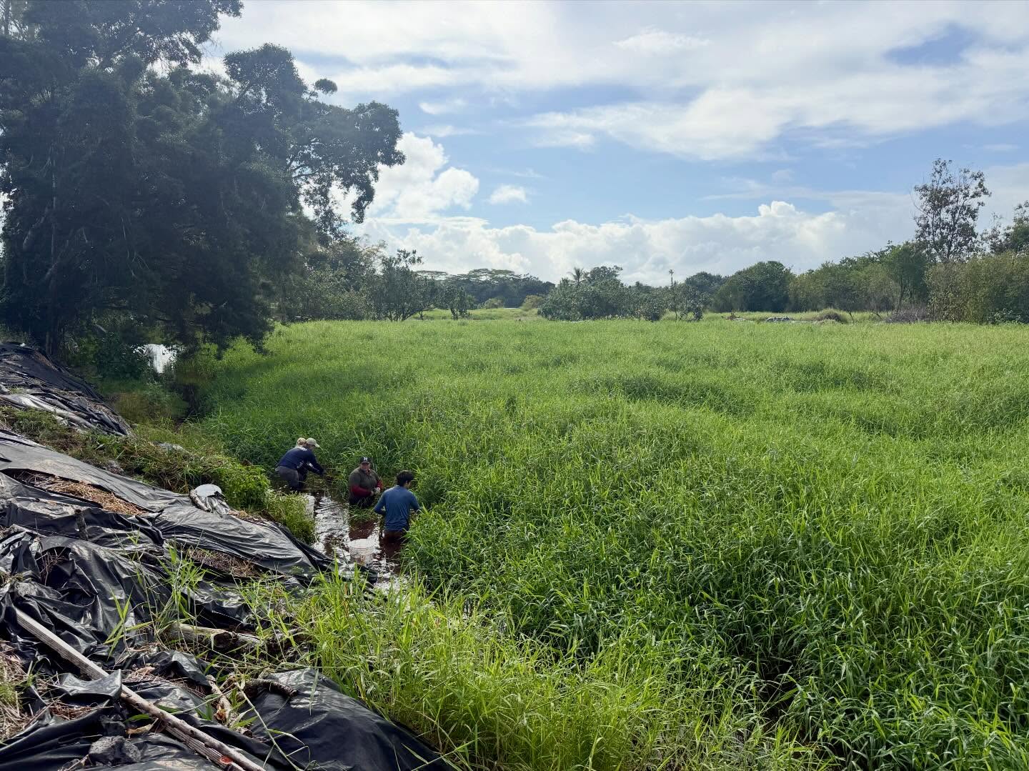 620979809_18035670215773190_2889285660811966156_n