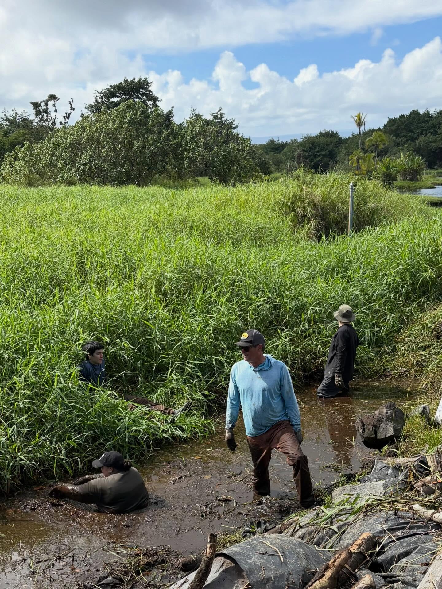 621640028_18035672441773190_7524487353719216377_n