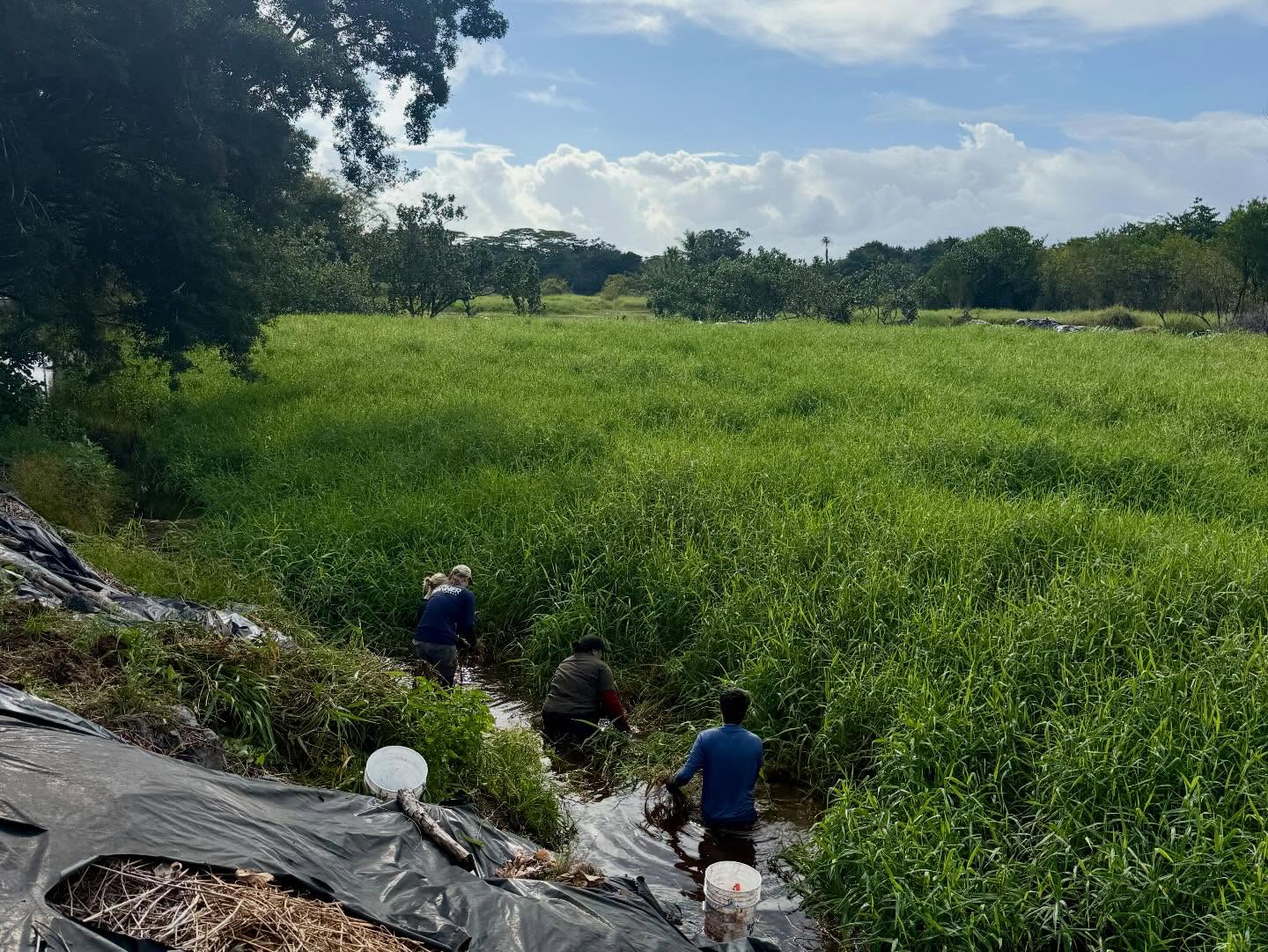 622610249_18035670227773190_5235951607794482170_n