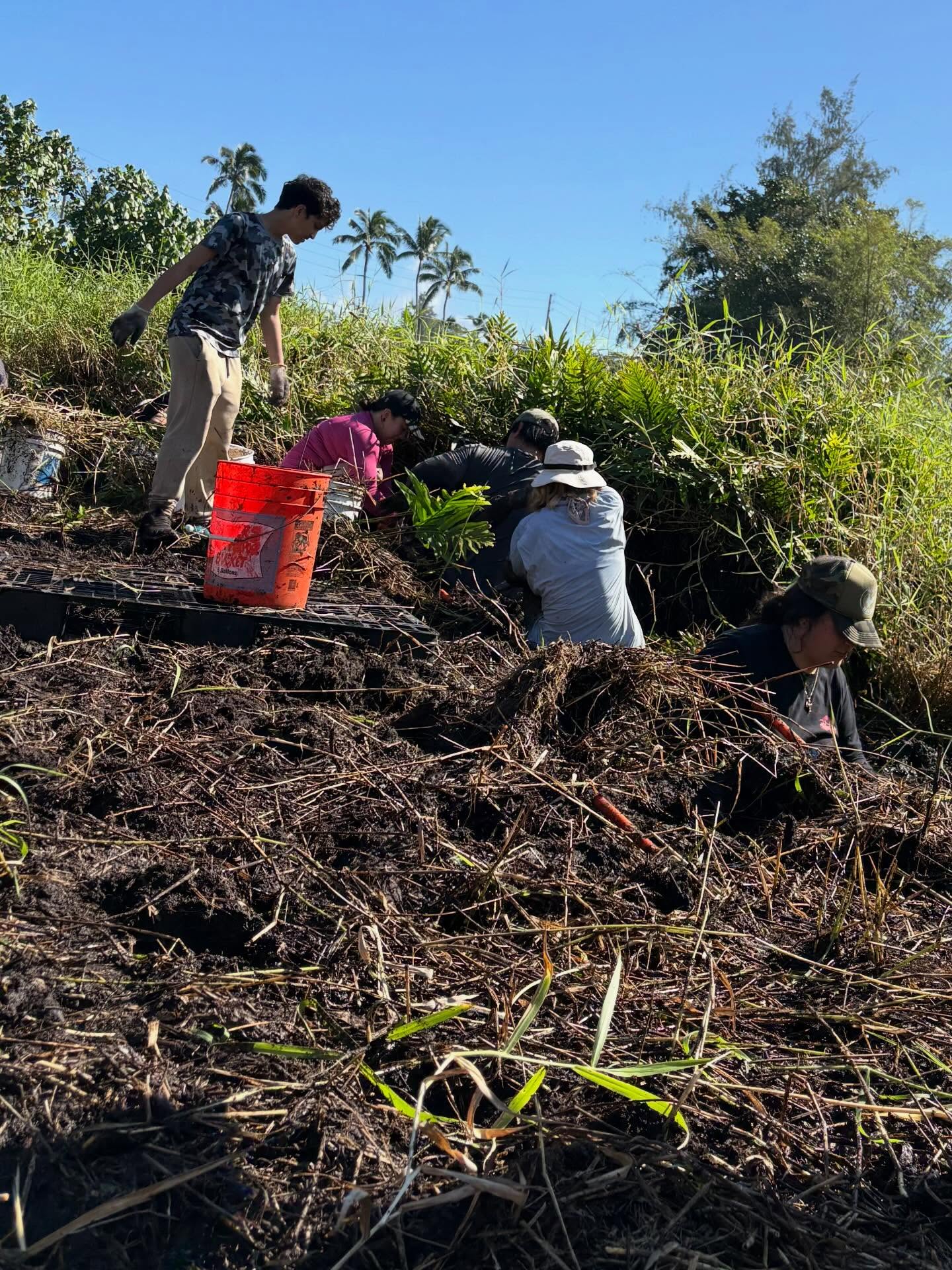 625153130_18036590993773190_7944824197432486492_n