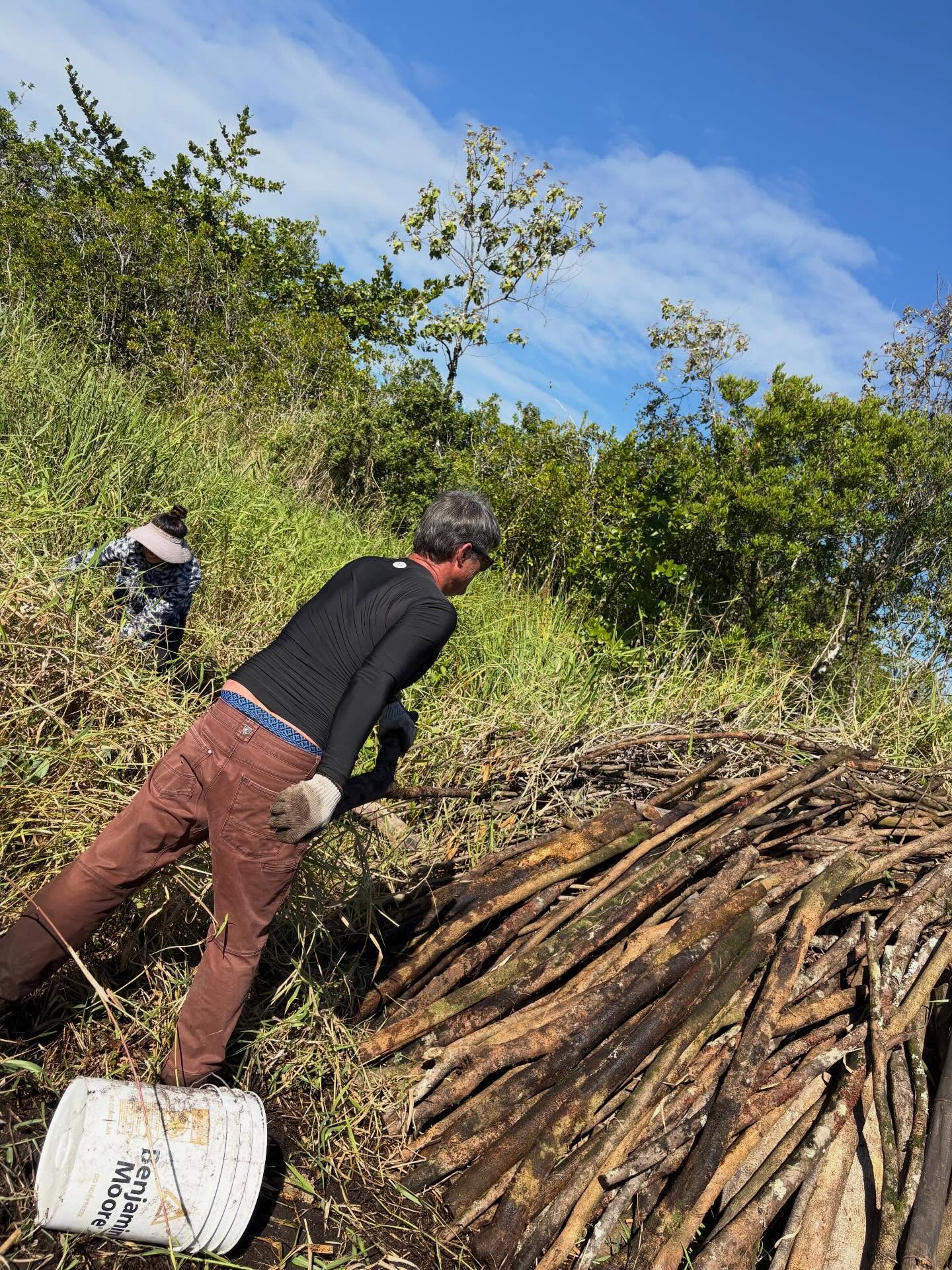 625153689_18036591008773190_7359240358483122359_n