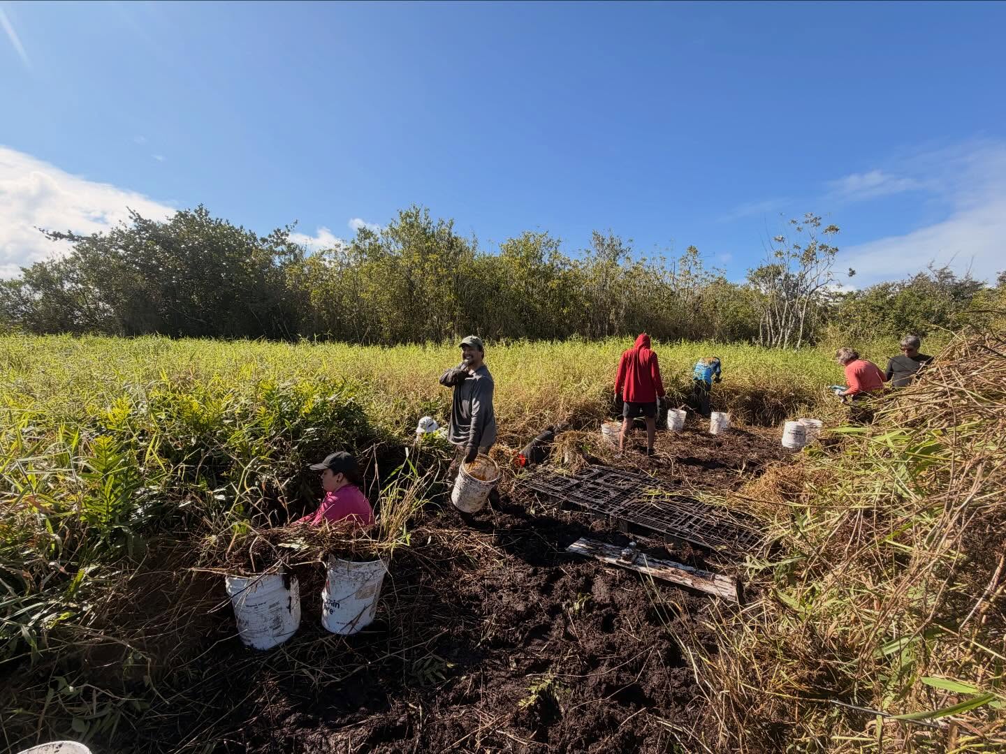 625697754_18036589241773190_6573850593561232862_n