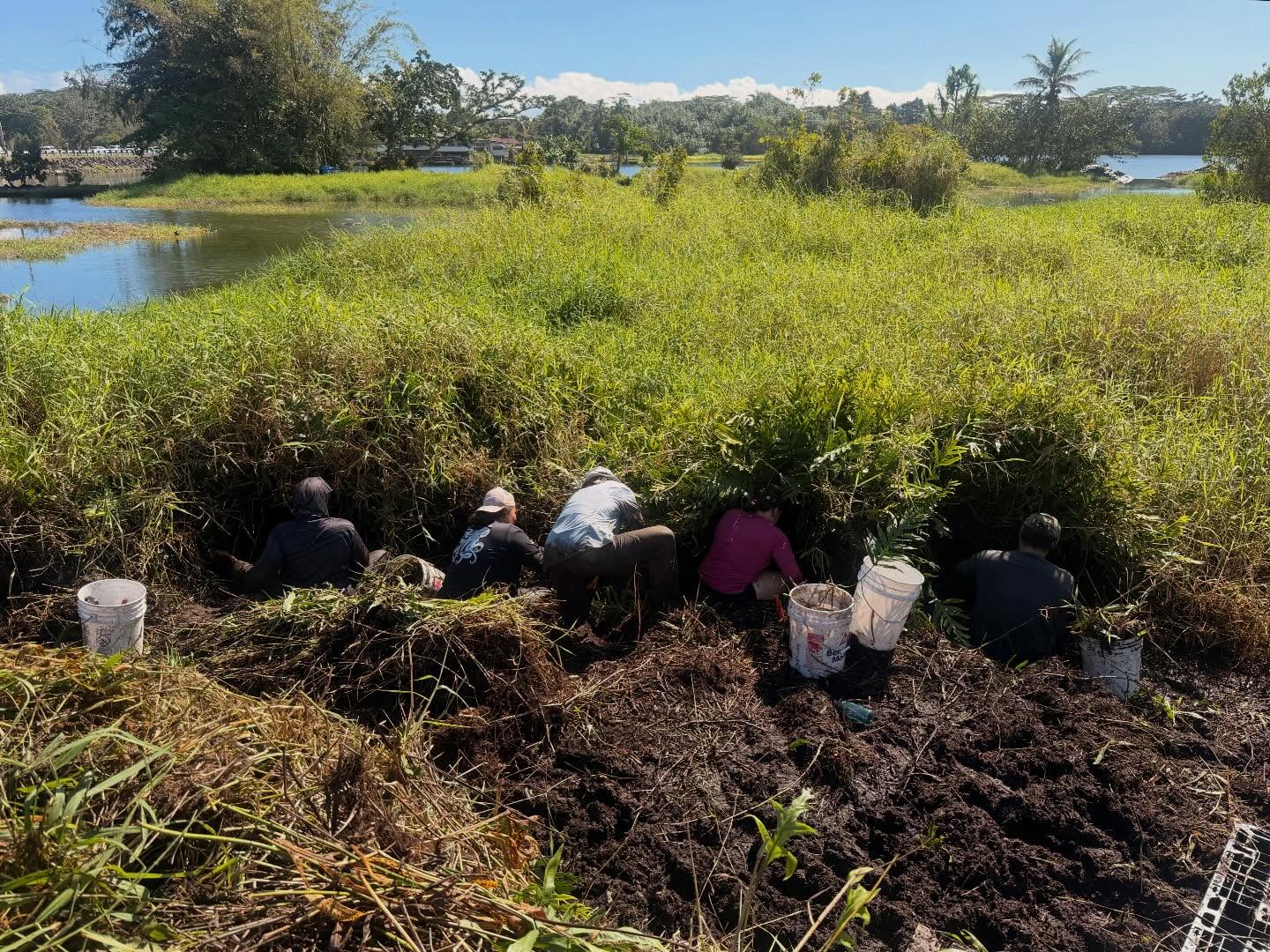 625953885_18036589280773190_3345406405775244545_n