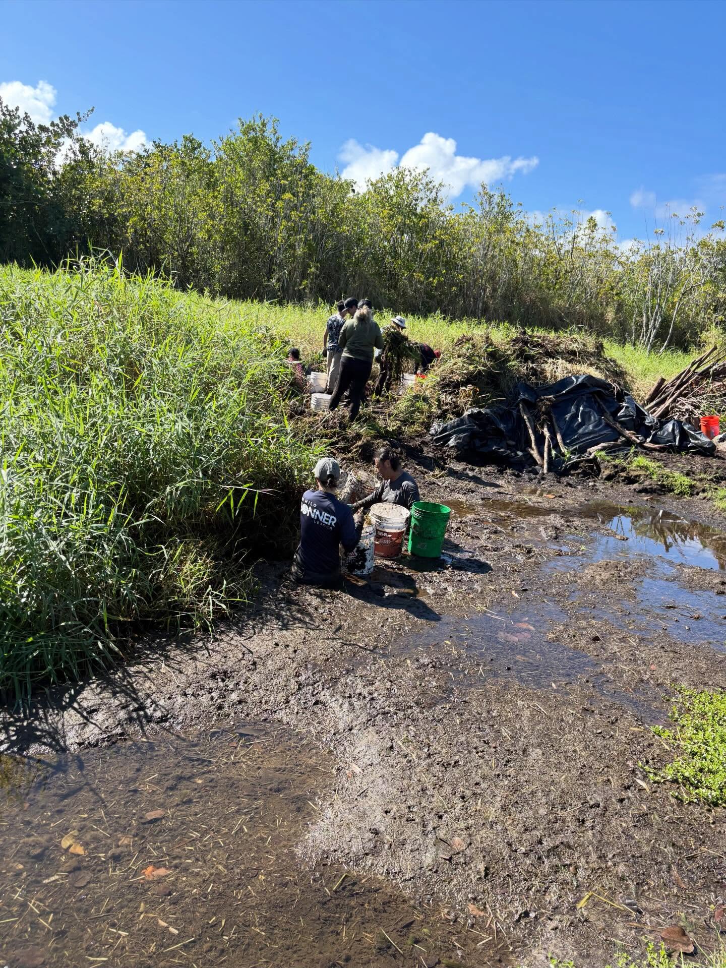 626751085_18036591044773190_6599296841767031415_n