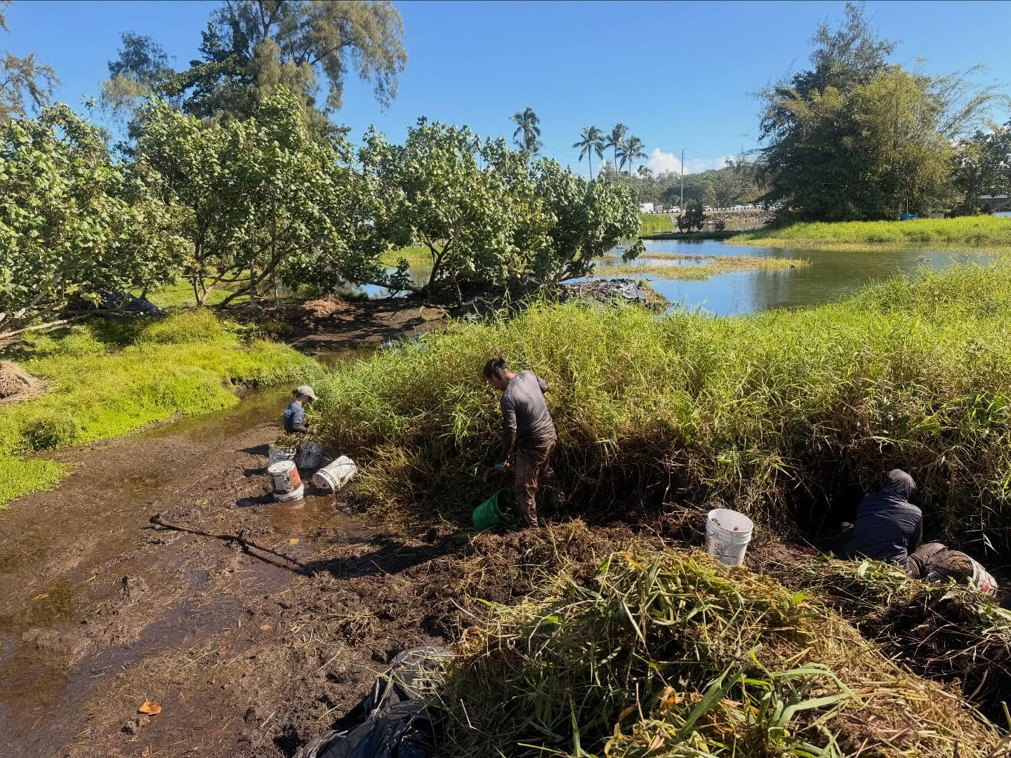 627045225_18036589271773190_4009394338643849835_n