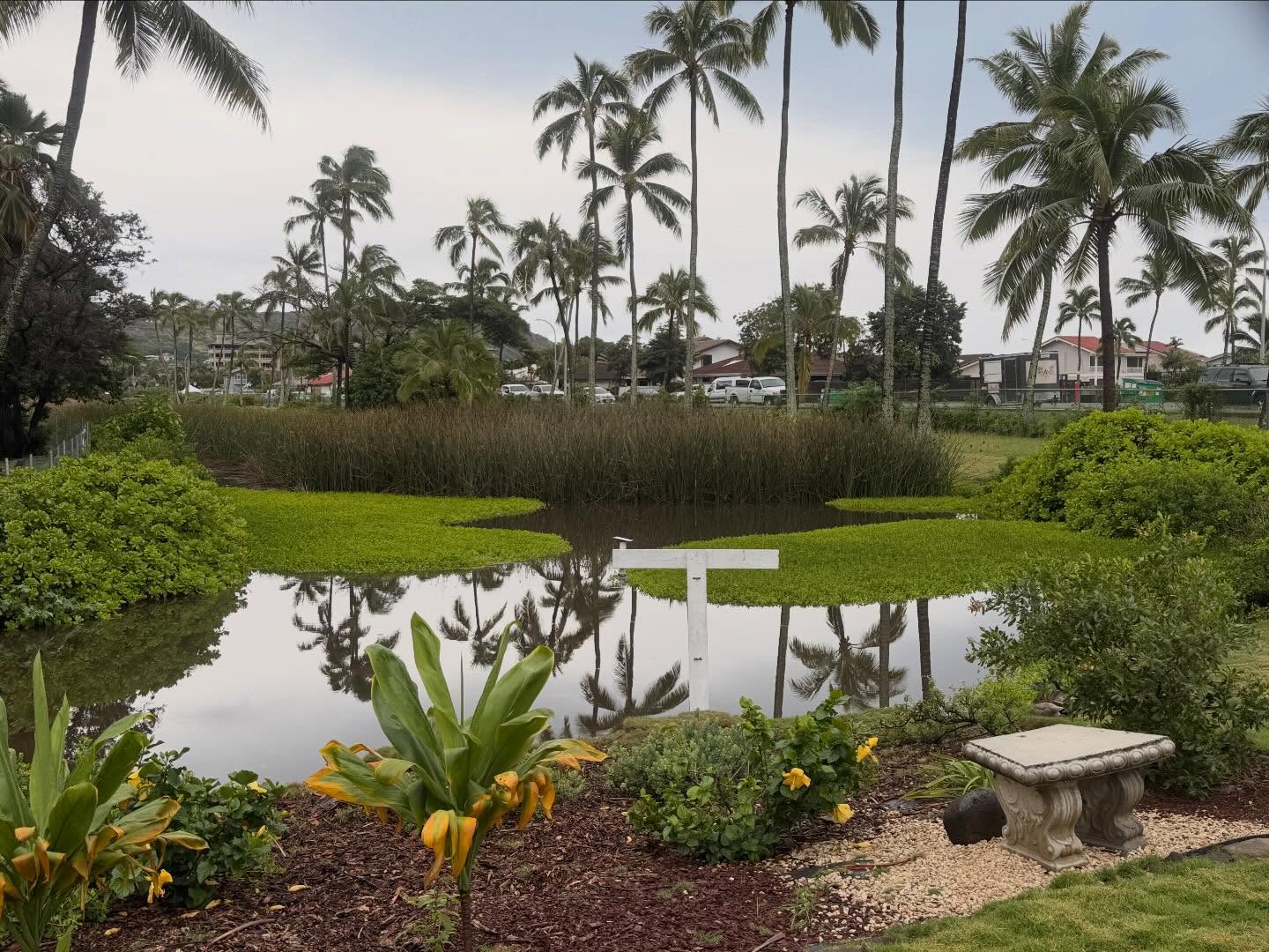 626169869_18037334060773190_4553791548597967562_n