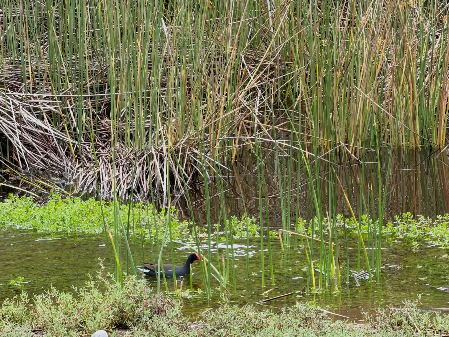 629226523_18037334075773190_4873602297374866287_n