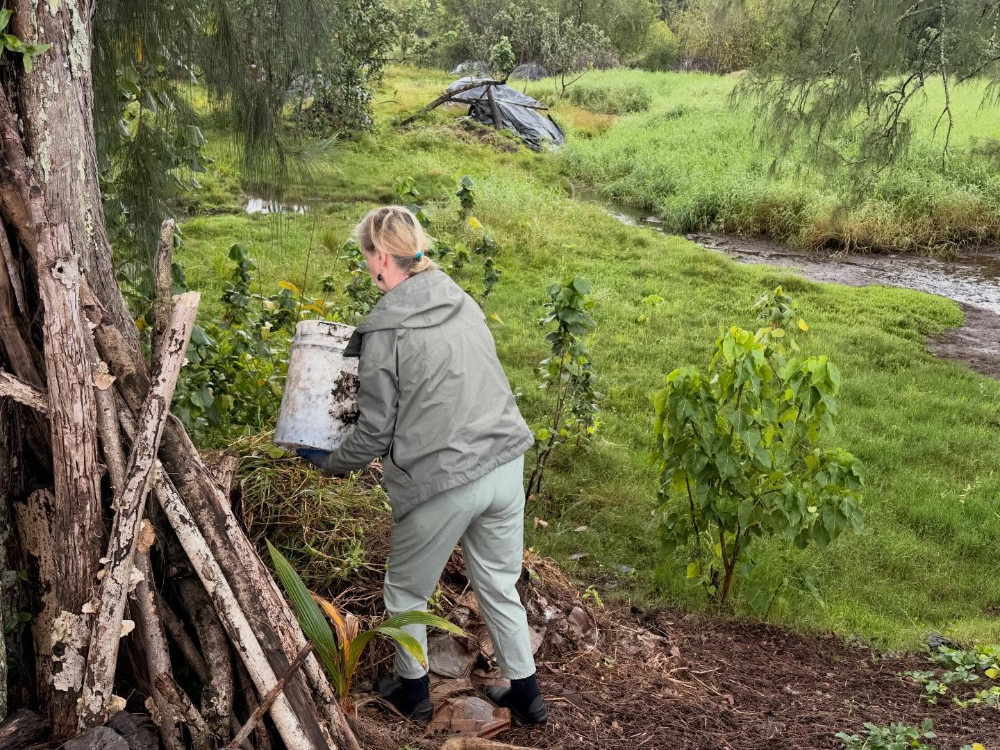 629719802_18038295869773190_4531840130425767553_n