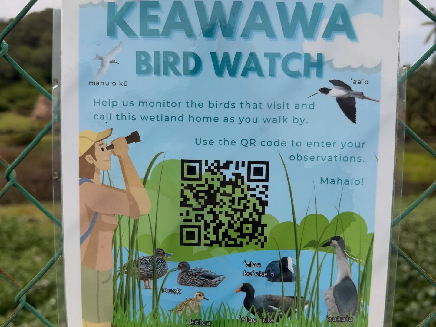 630117021_18037334051773190_811943091324686646_n