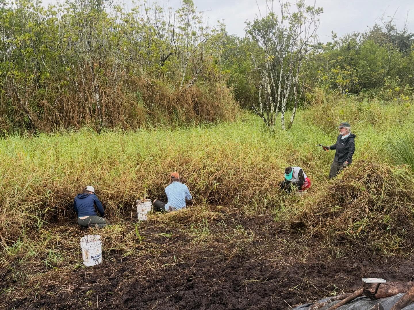 631472266_18038295851773190_3619475901952873335_n