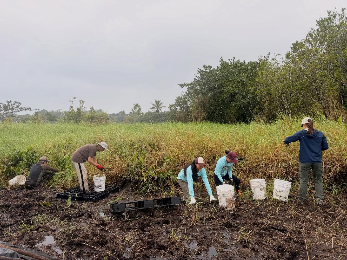 631526663_18038295779773190_77080474665966403_n