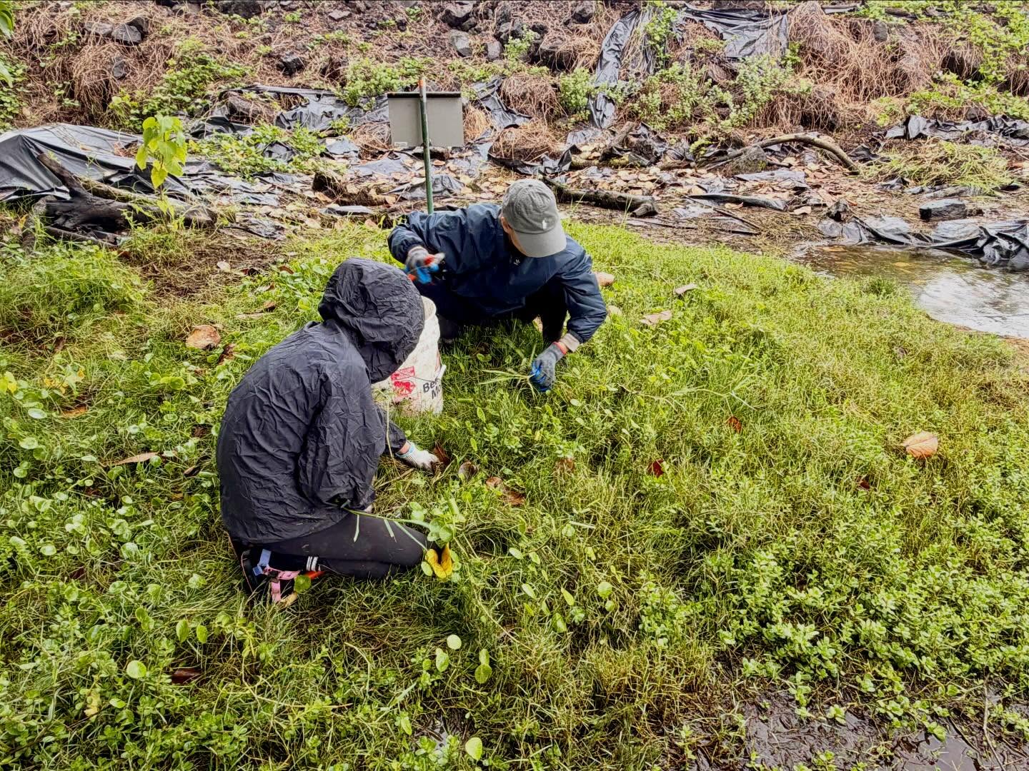 632303363_18038295860773190_1738140130915463504_n