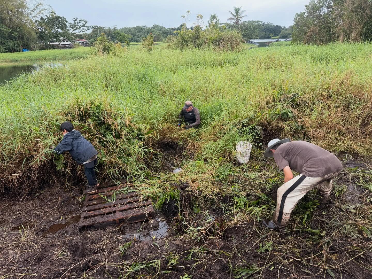 632599626_18038295788773190_8526844913241530989_n