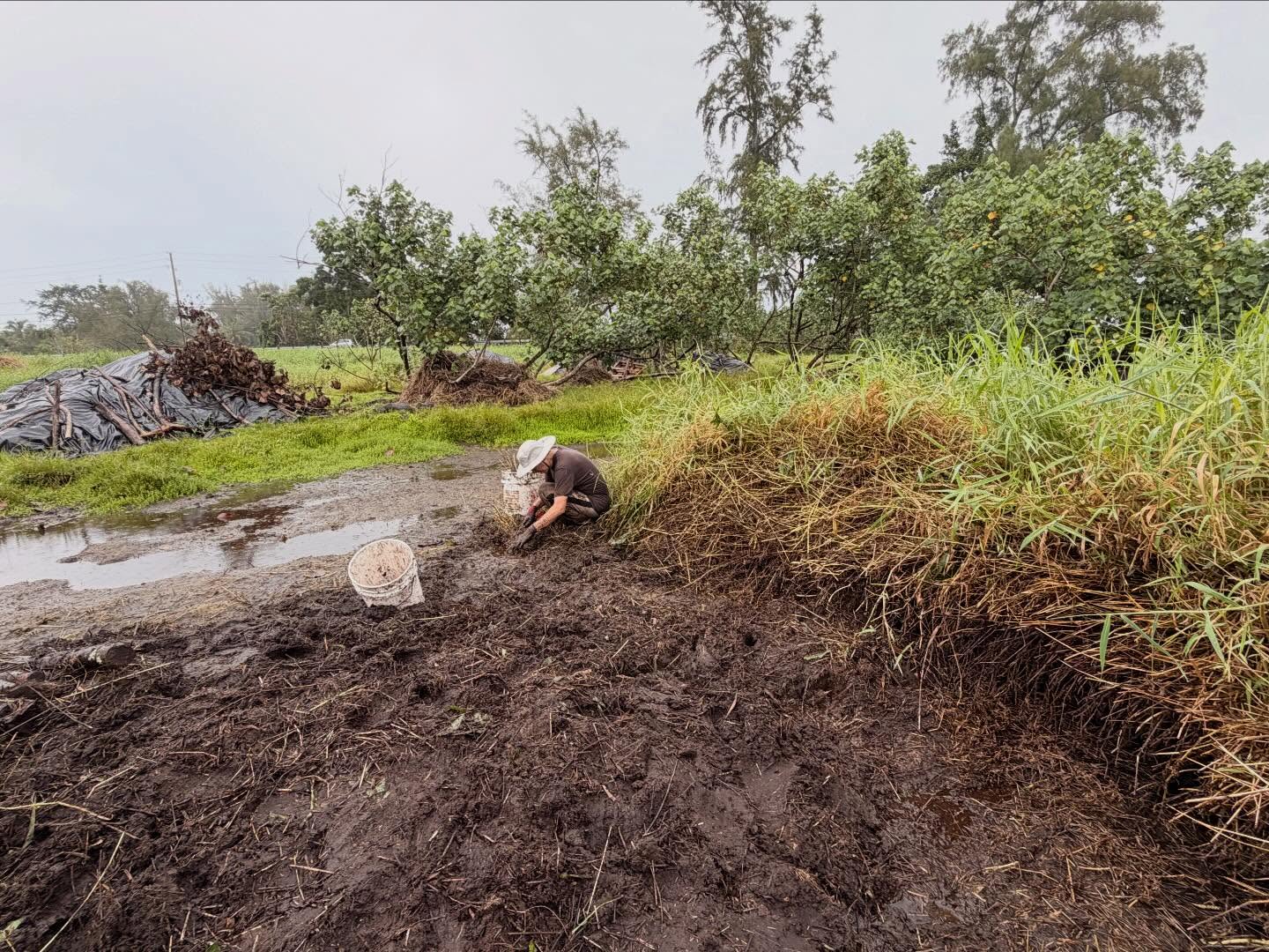 634867581_18038295983773190_8508354769075314042_n