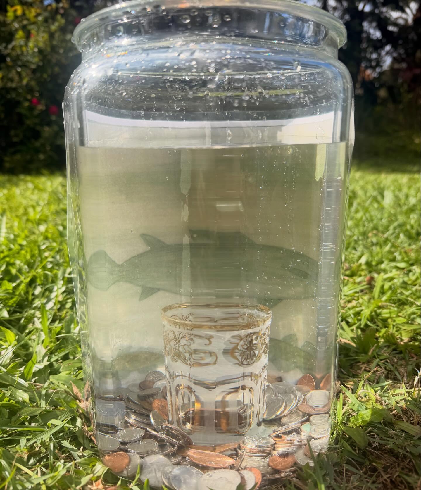 636716707_18038502242773190_176829583887161625_n