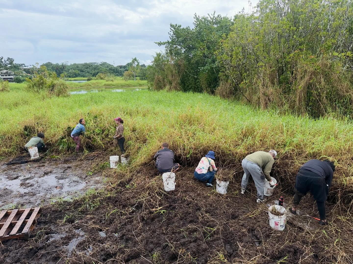 637692021_18039006992773190_1591432473000270015_n