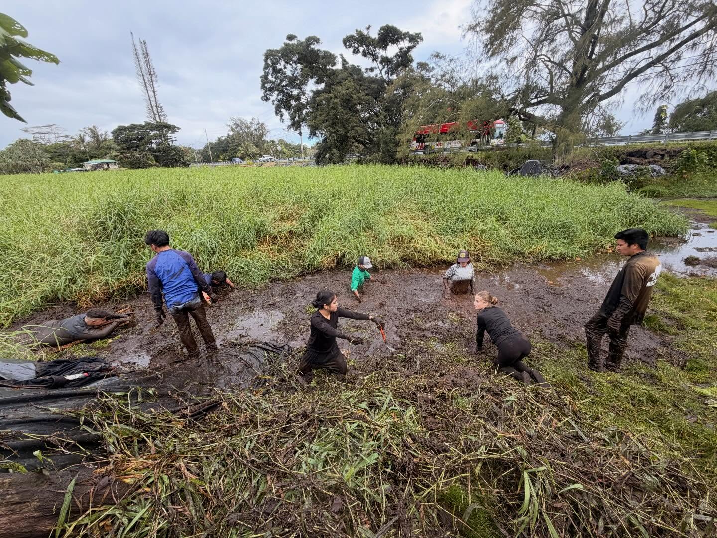 637710125_18038880122773190_2620487798110112135_n