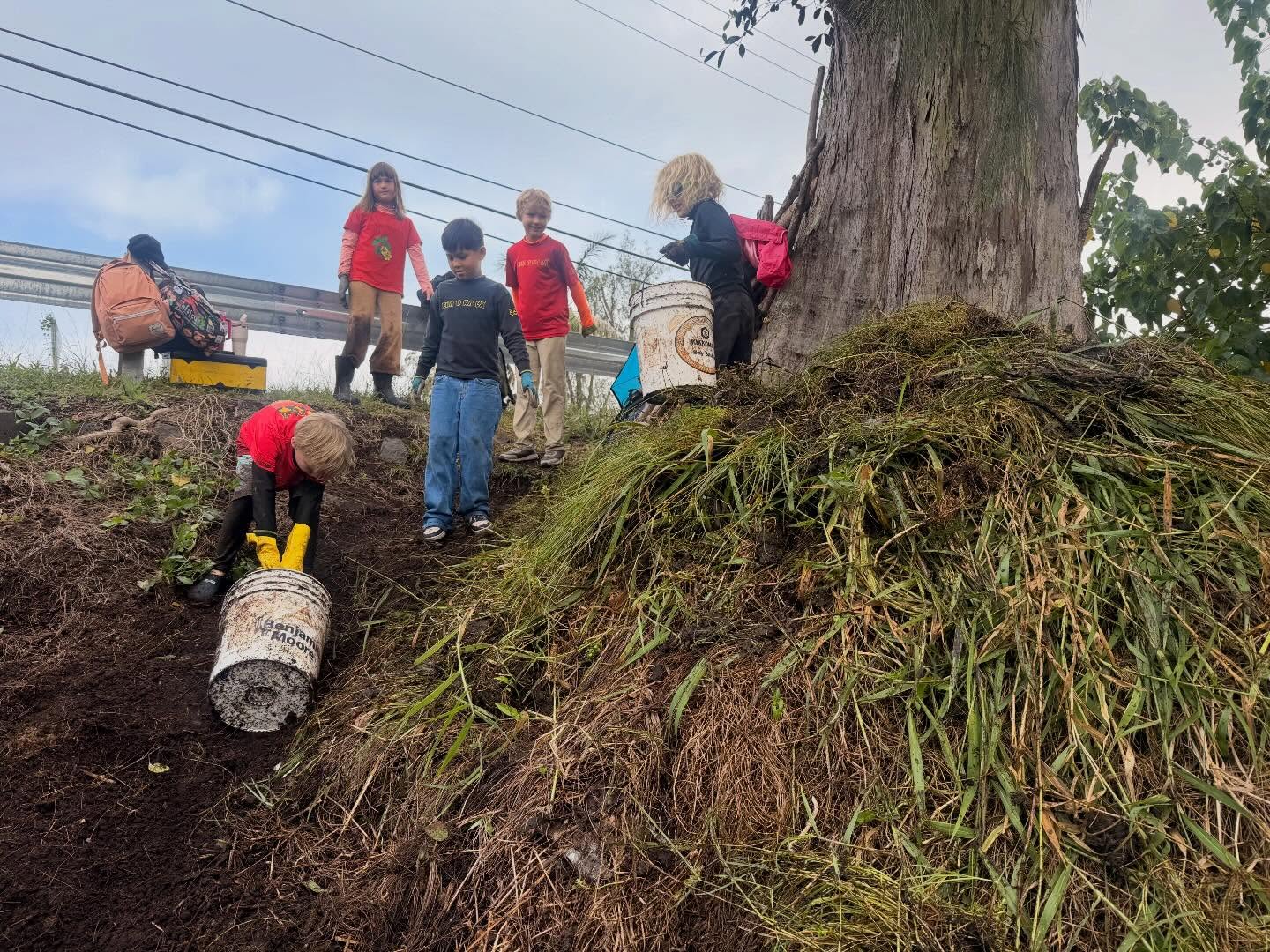 639580668_18038764832773190_6906535192262563517_n