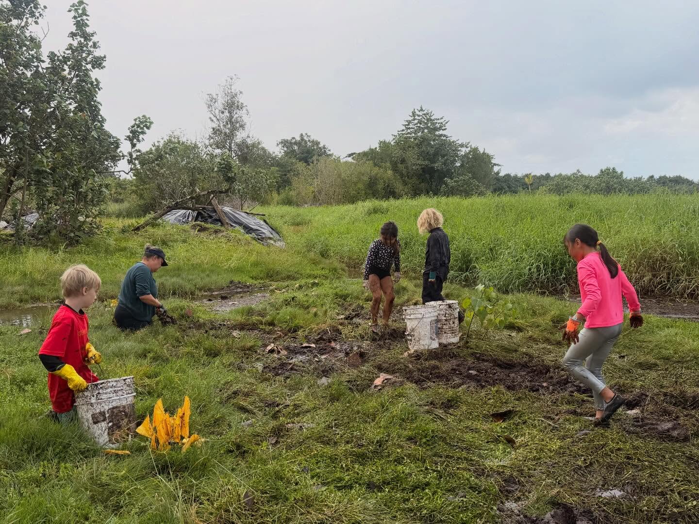 639732123_18038764769773190_5907165150960883658_n