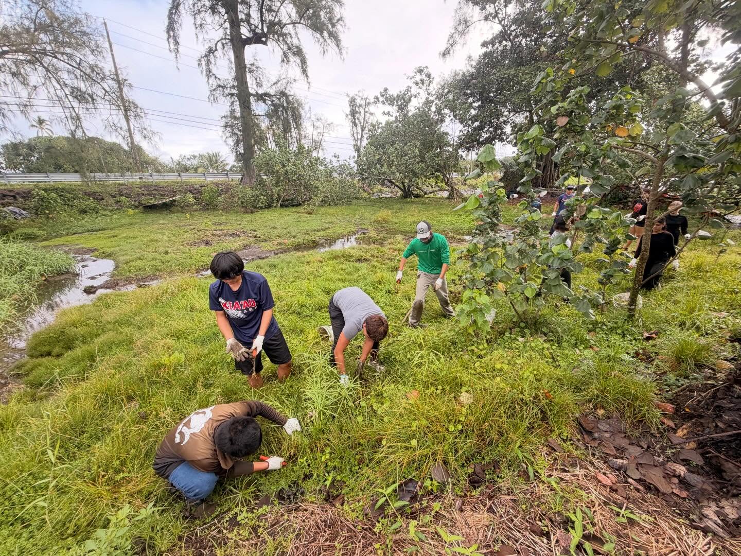 639741839_18038880095773190_2634034057751418519_n