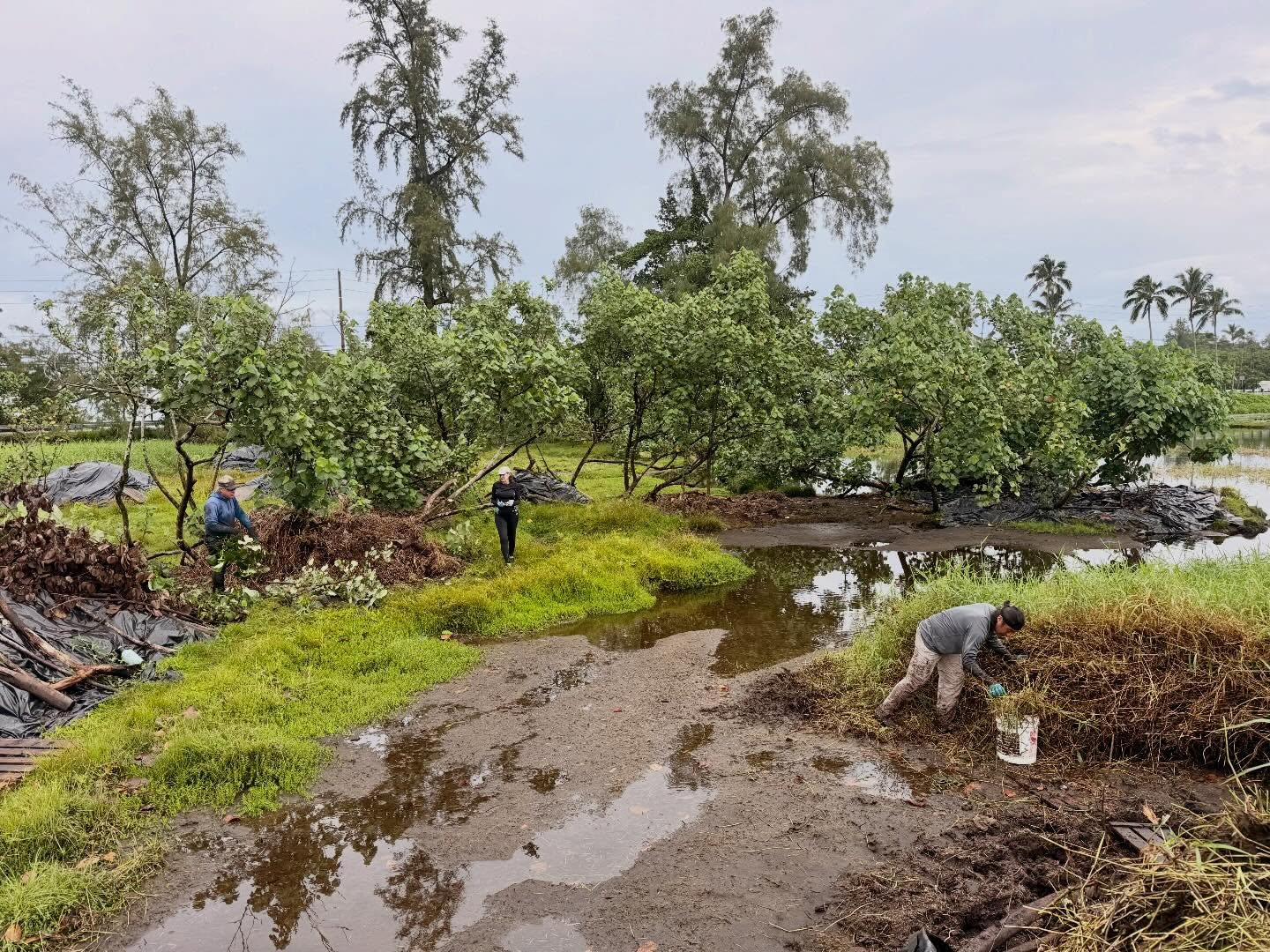 639791271_18039006959773190_141180679662725024_n