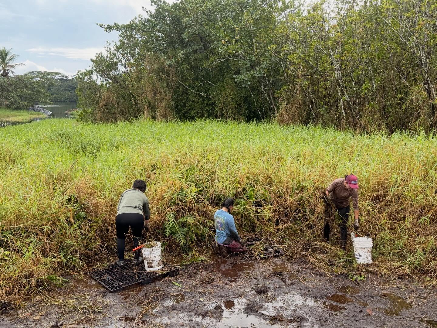 640887718_18039006968773190_8737628013164871220_n