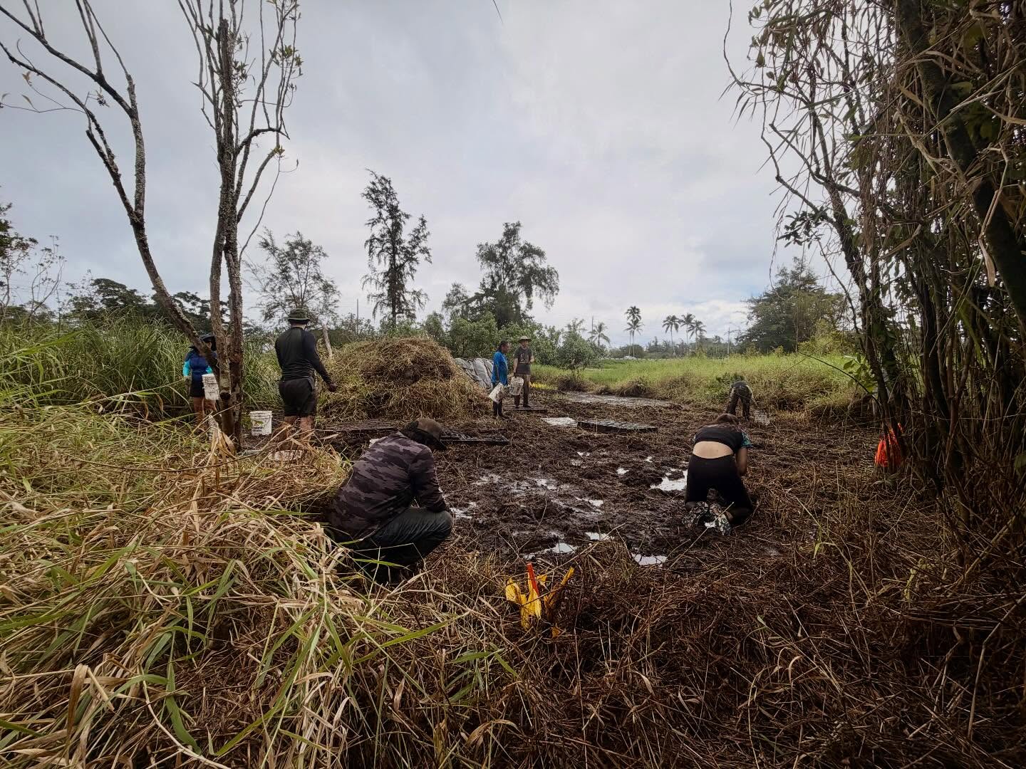 642417151_18039890267773190_9064870786676665936_n