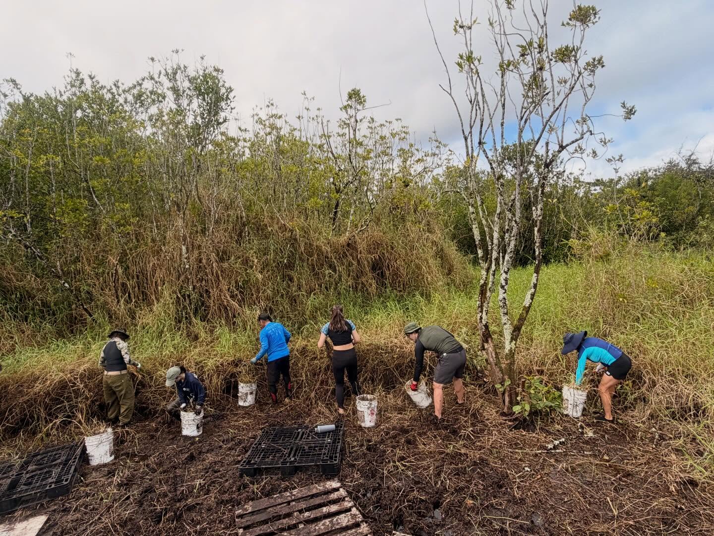 642443520_18039890183773190_8639568265014441607_n